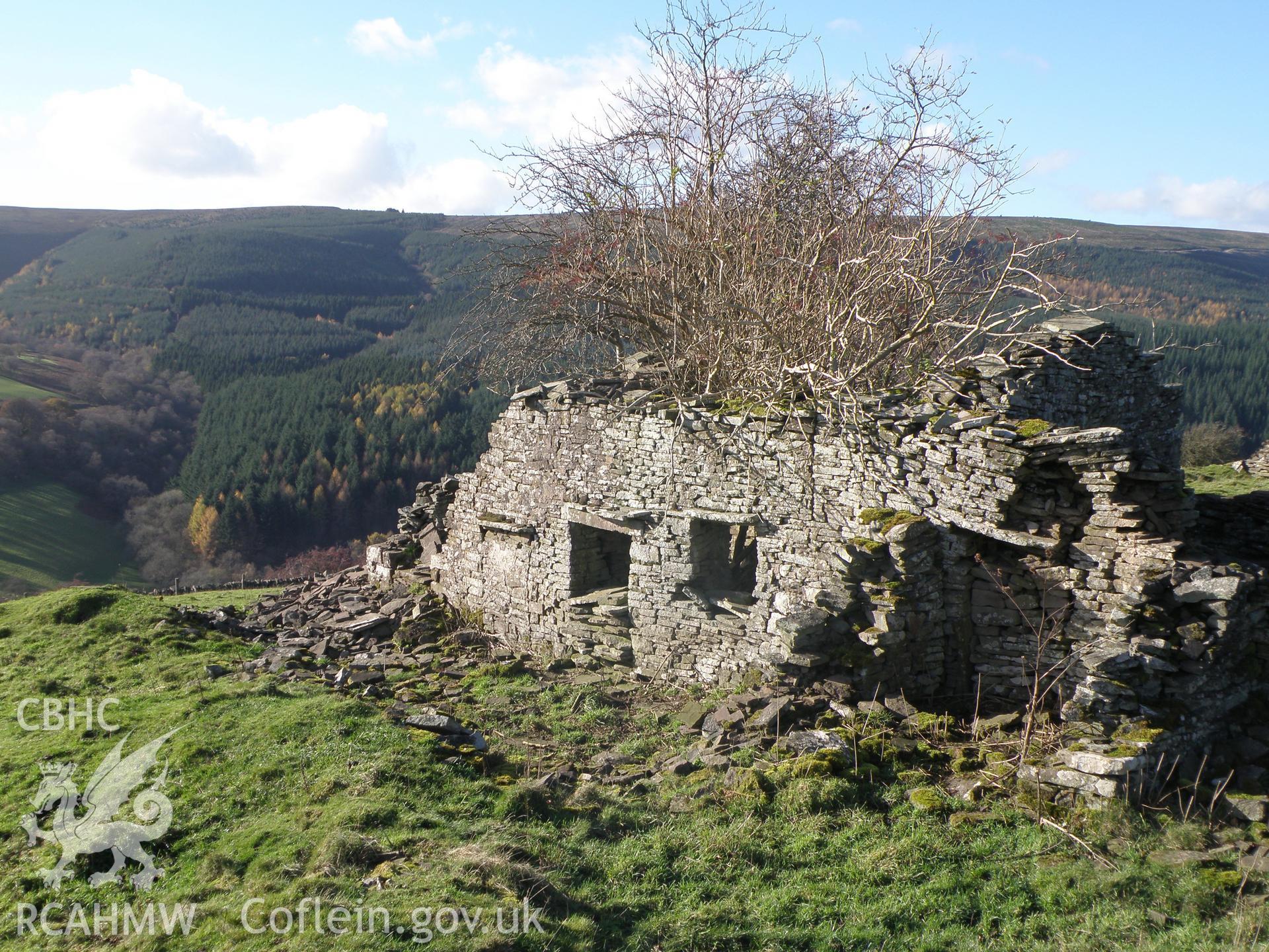 Colour photo of ruins at Dial Gareg, taken by Paul R. Davis and dated 13th November 2010.
