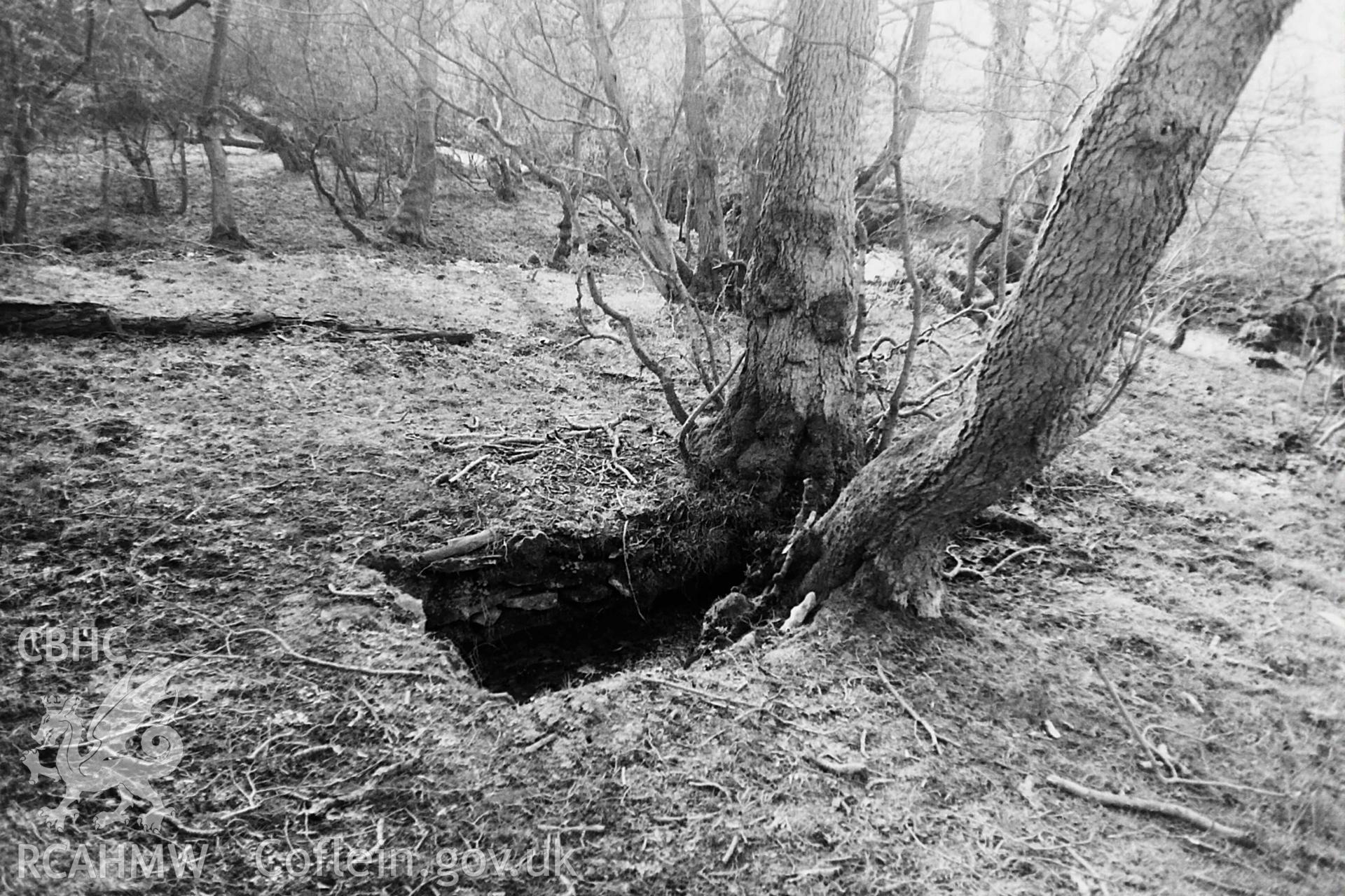 Black and white photo showing Llandegla Well, taken by Paul R. Davis, undated.