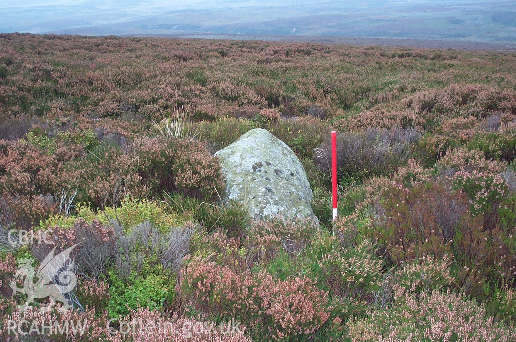 Digital photograph of Llandegla Plantation Standing Stone taken on 10/10/2002 by Oxford Archaeology North during the Ruabon Mountain Upland Survey