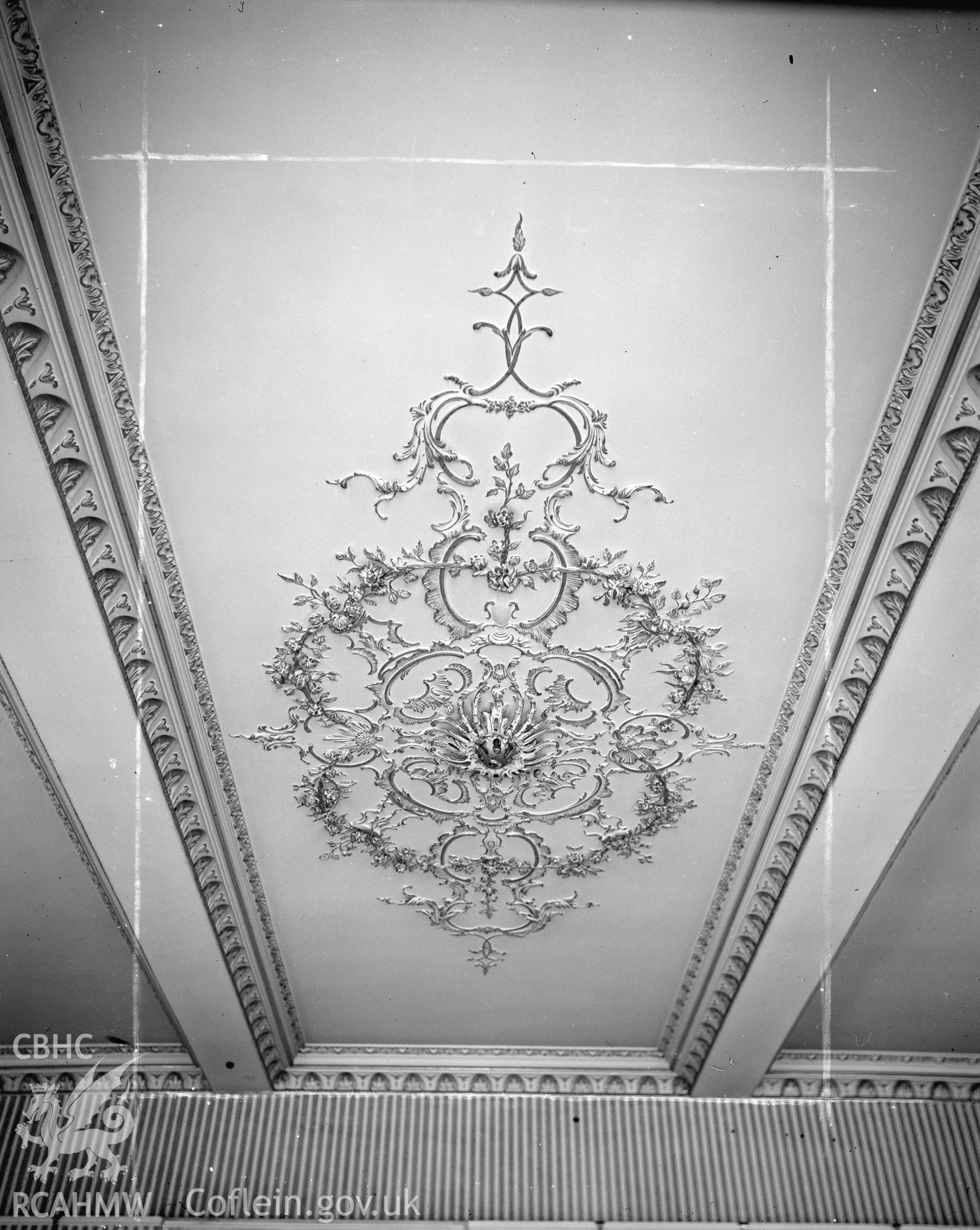 View of plaster ceiling in drawing room