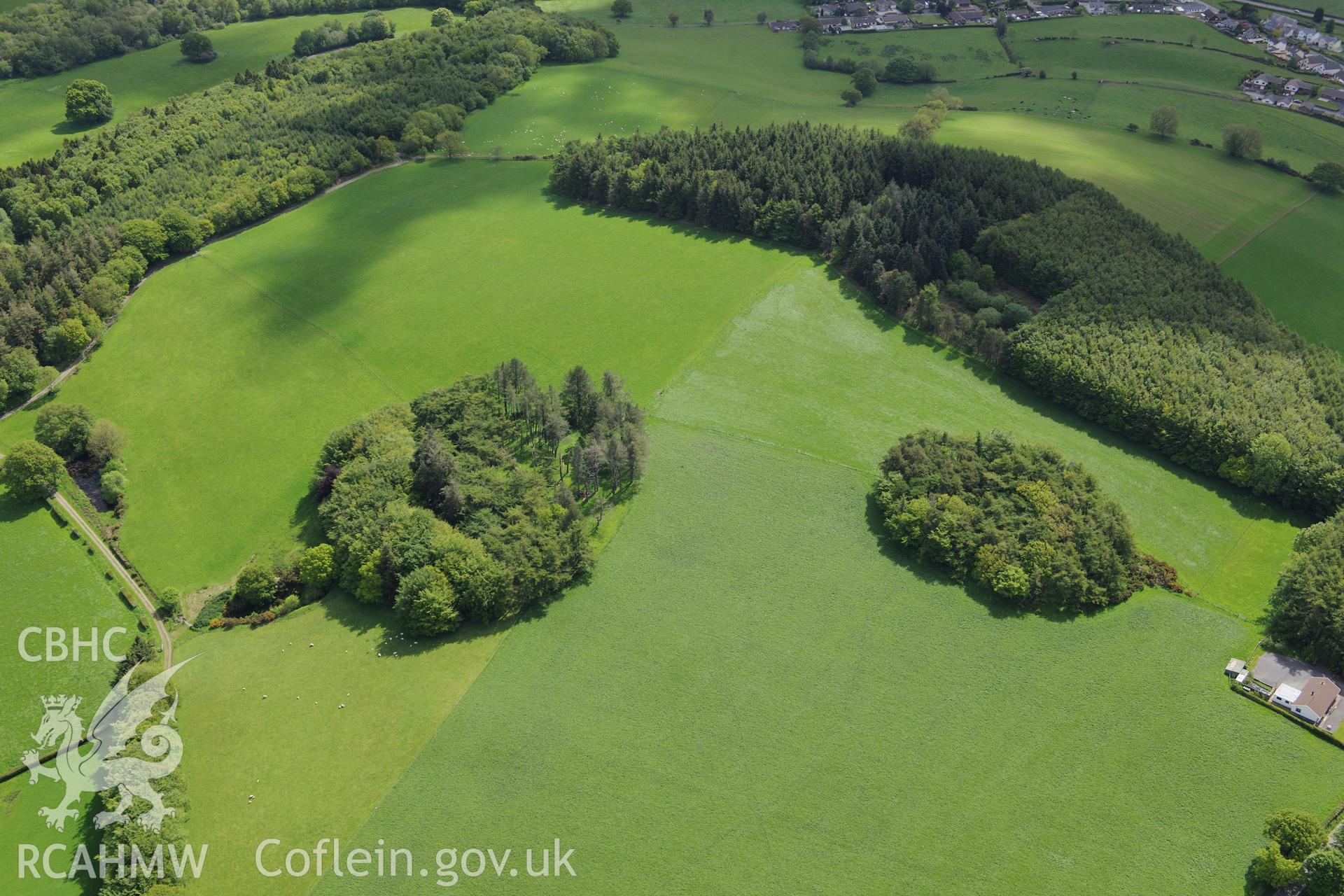 Estate planting scheme at Falcondale, Lampeter. Oblique aerial photograph taken during the Royal Commission's programme of archaeological aerial reconnaissance by Toby Driver on 3rd June 2015.