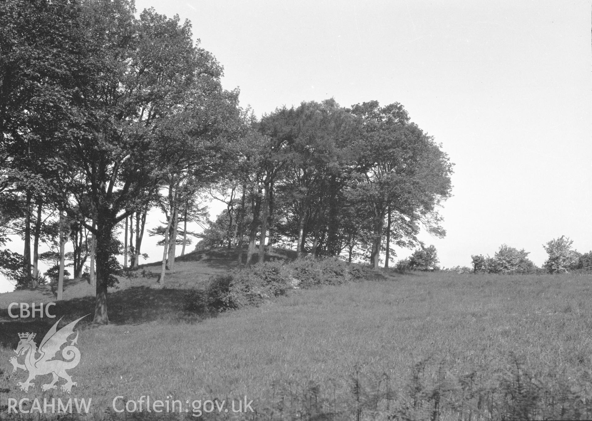 Digital copy of a nitrate negative showing Bryn Digrif Barrows. Transcript of the reverse of the printed photograph: 'Flint 268 Whitford/ Bryn Digrif (2) Tumulus.' From the Cadw Monuments in Care Collection.