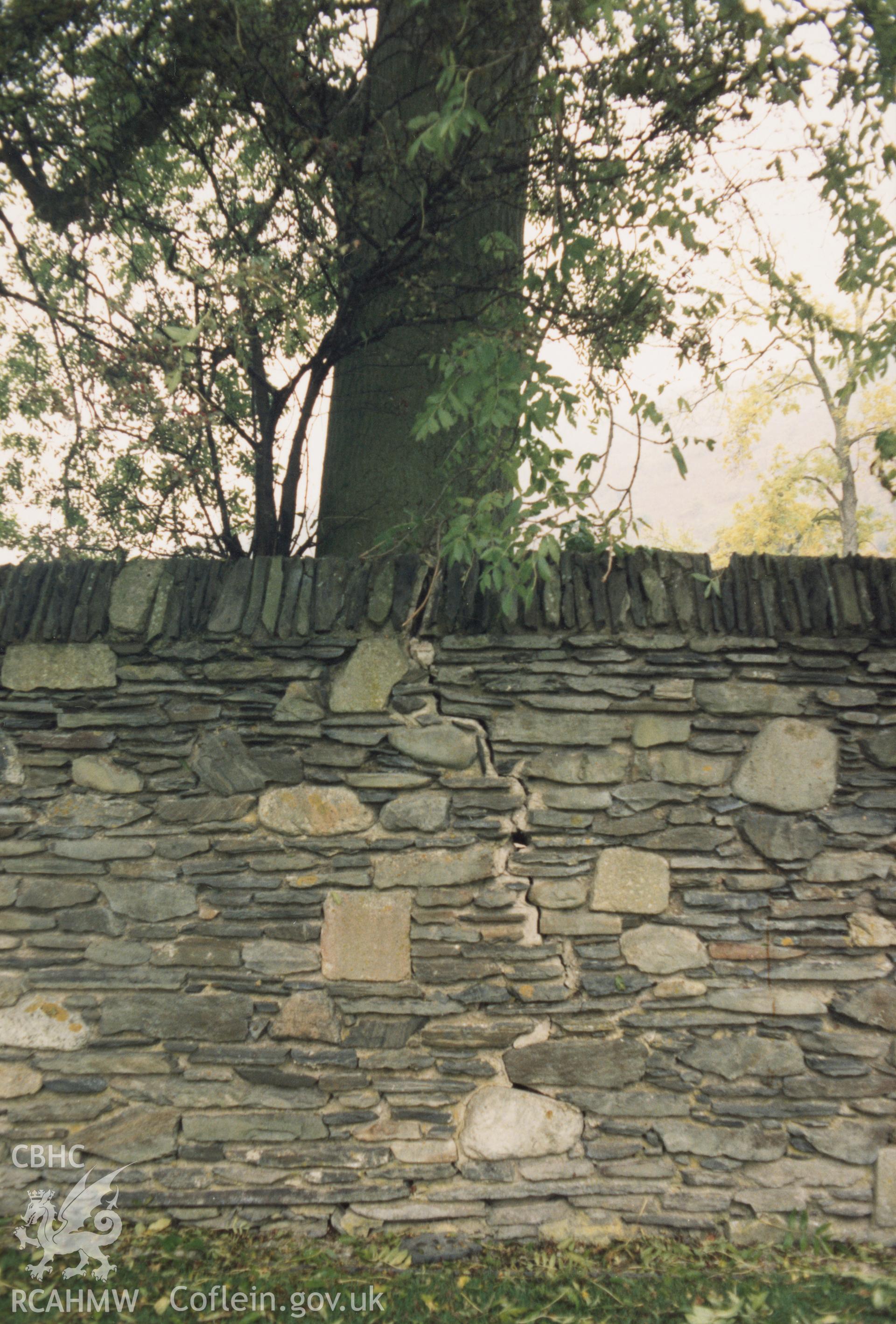 Digitised copy of a colour photograph showing tree damage to boundary wall at Valle Crucis Abbey, taken by Cadw c.1989.