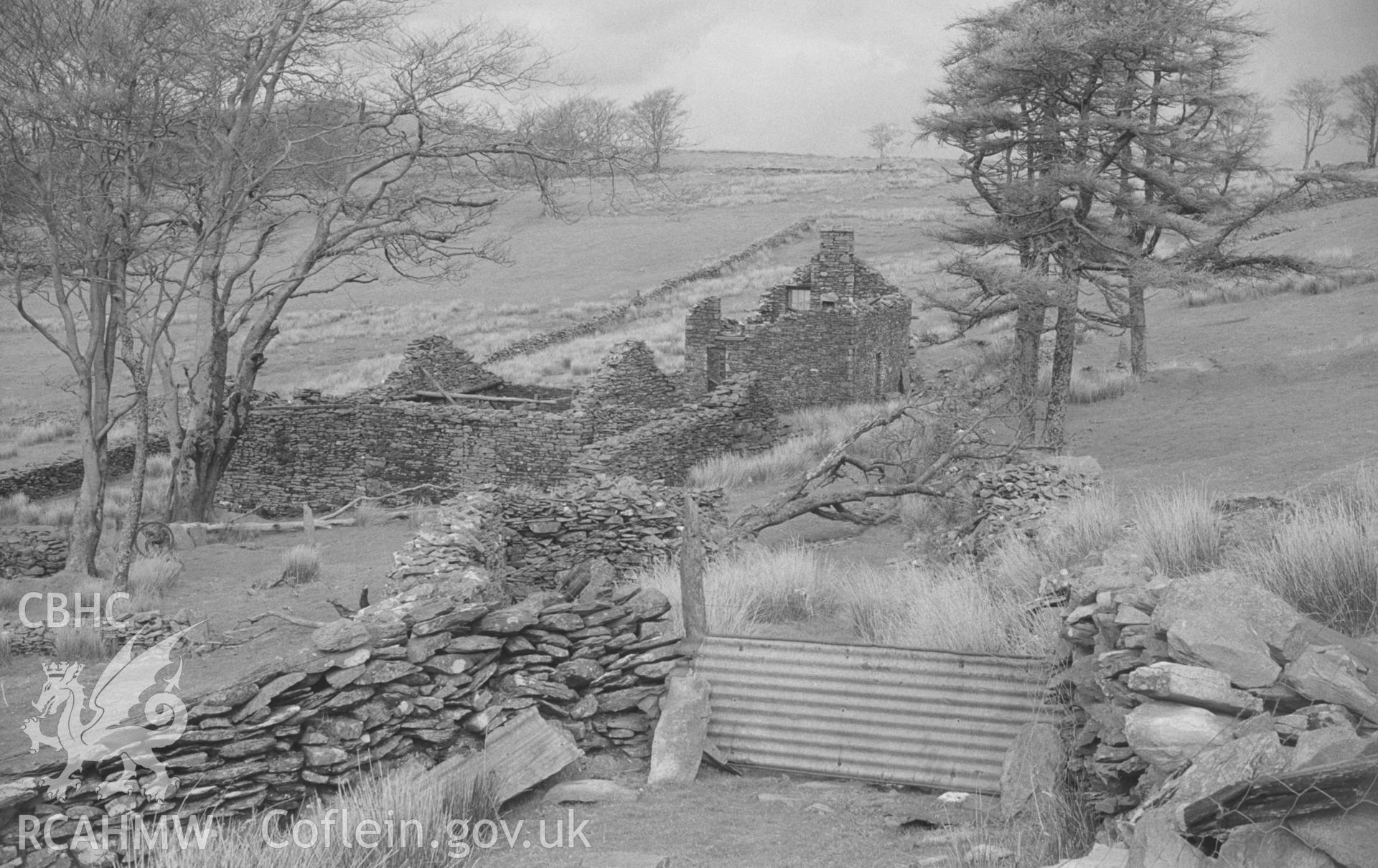 Digital copy of a black and white negative showing the ruins of Tan-y-Graig farmstead near Carn Gron, Gwar Ffynnon, Tregaron. Photographed by Arthur O. Chater in April 1966 from Grid Reference SN 729 605, looking north.