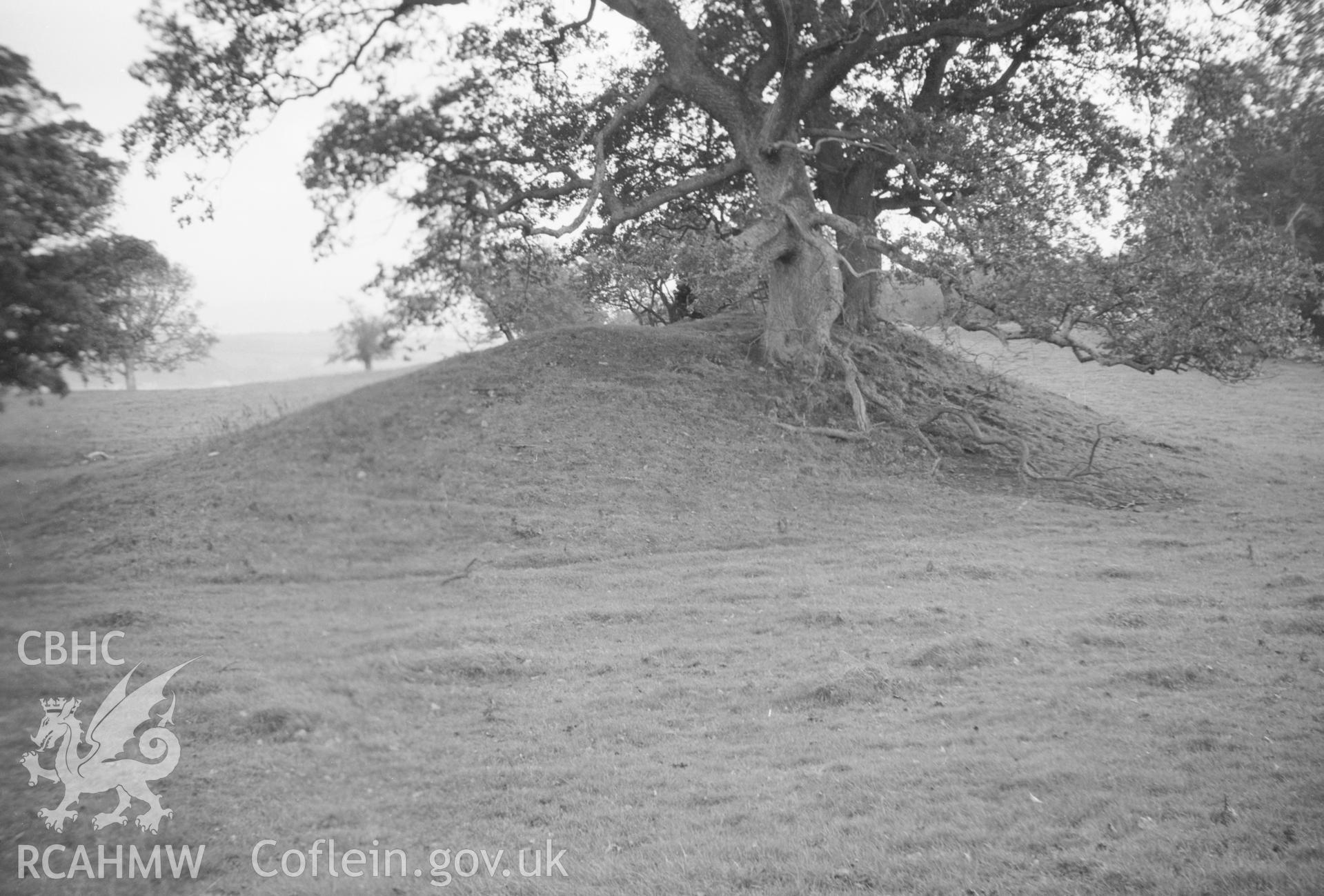Digital copy of a nitrate negative showing Bryn-yr-Hen-Bobl, Llanddaniel Fab. From the Cadw Monuments in Care Collection.
