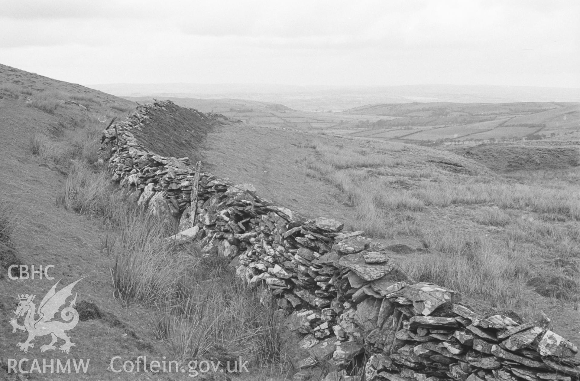 Digital copy of black & white negative showing dry stone wall separating field from track 300m south west of the ruins of Tan-y-Graig. Photographed by Arthur O. Chater on 6th April 1966 from Grid Reference SN 727 604, looking north.