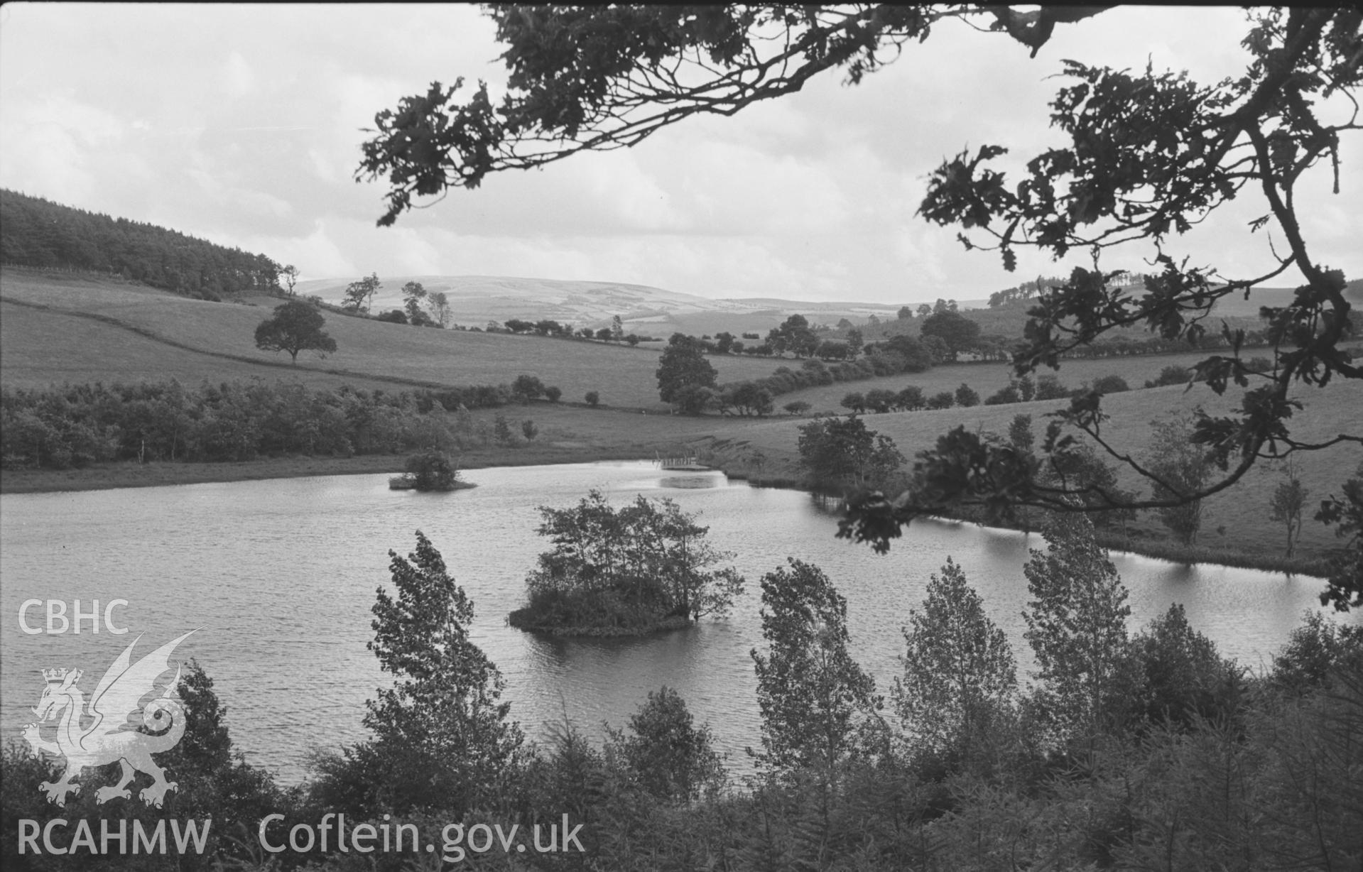 Digital copy of a black and white negative showing view over Falcondale pond from Deri-goch wood. Photographed by Arthur O. Chater on 16th August 1967, looking south from Grid Reference SN 569 502.