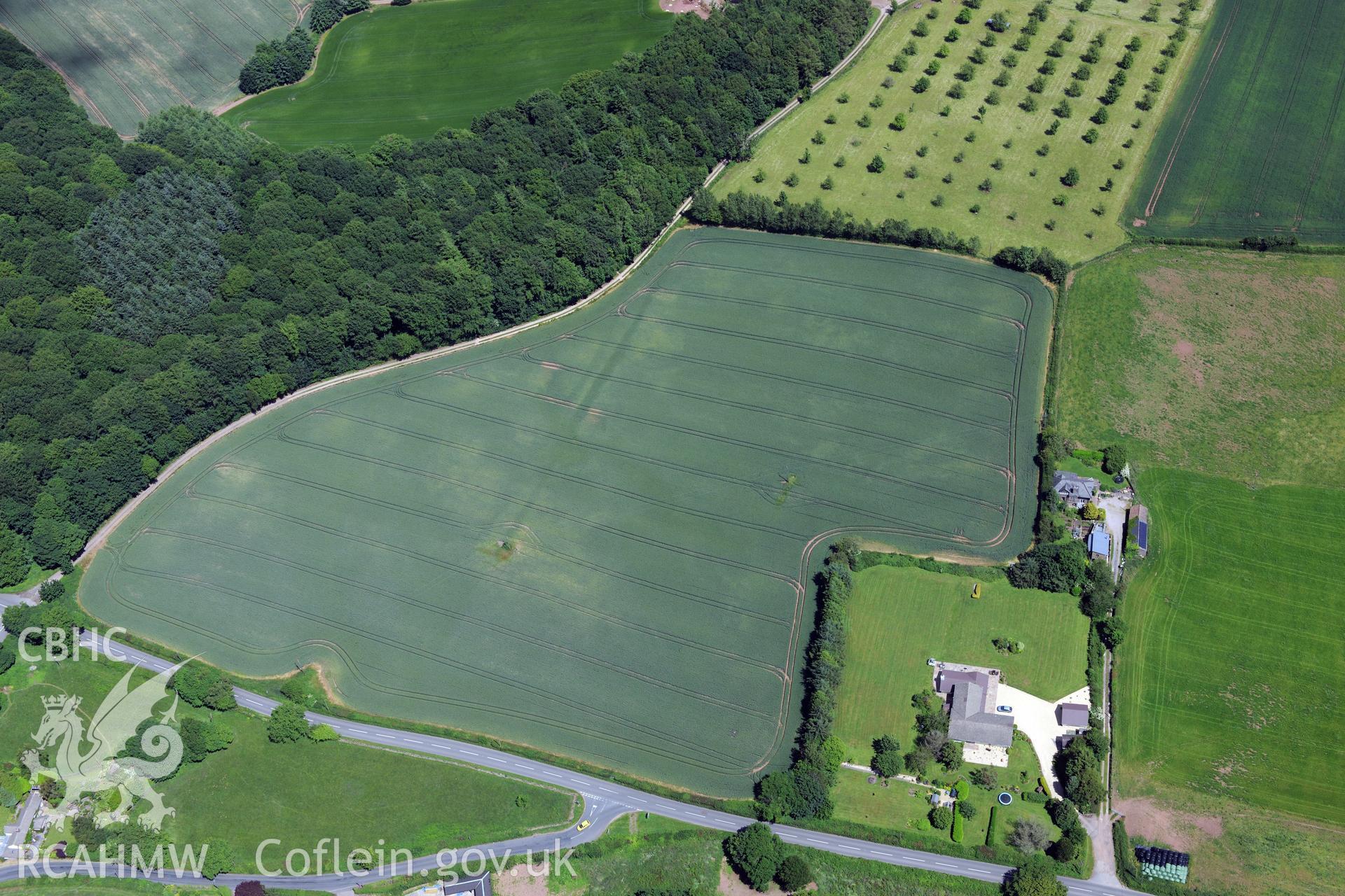 Cropmarks at Crumbland Farm near Usk. Oblique aerial photograph taken during the Royal Commission's programme of archaeological aerial reconnaissance by Toby Driver on 29th June 2015.