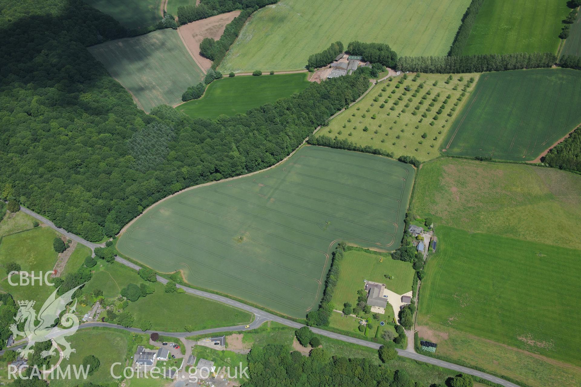 Cropmarks and house at Crumbland Farm near Usk. Oblique aerial photograph taken during the Royal Commission's programme of archaeological aerial reconnaissance by Toby Driver on 29th June 2015.