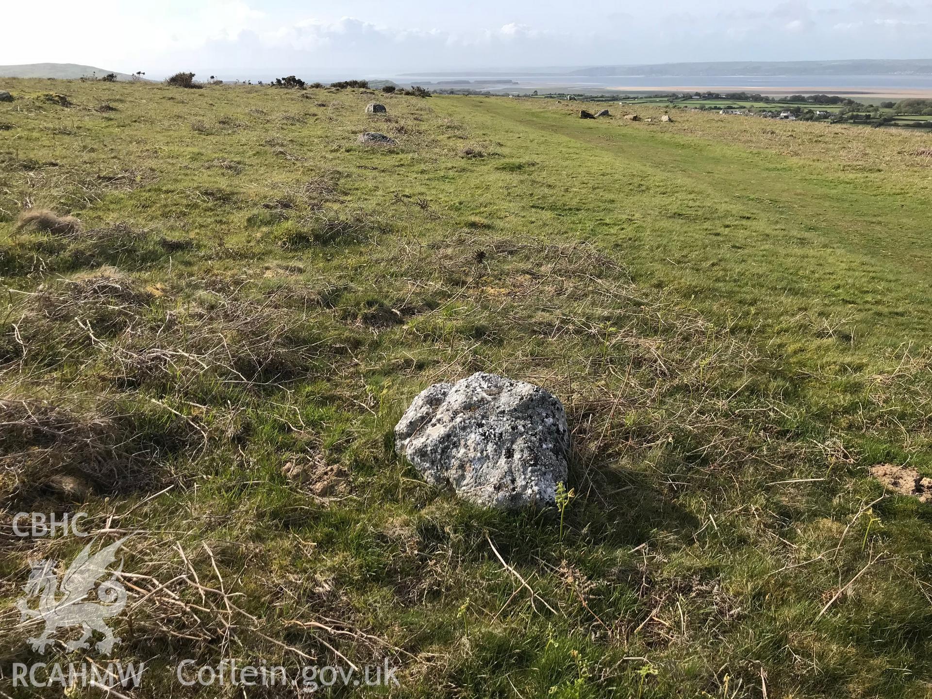 Colour photo showing a possible stone alignment at Cefn Bryn, taken by Paul R. Davis, 10th May 2018.