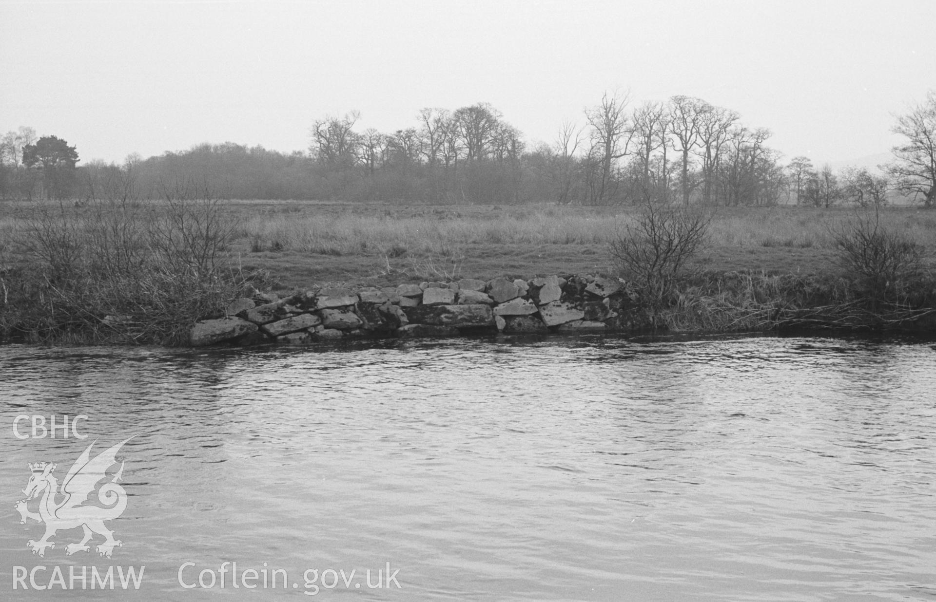 Digital copy of black & white negative showing view looking across the Teifi to the Highmead heronry in Moat Wood. Stones forming breakwater in river bank. Photographed by Arthur O. Chater in April 1966 from Grid Reference SN 506 427, looking north east.