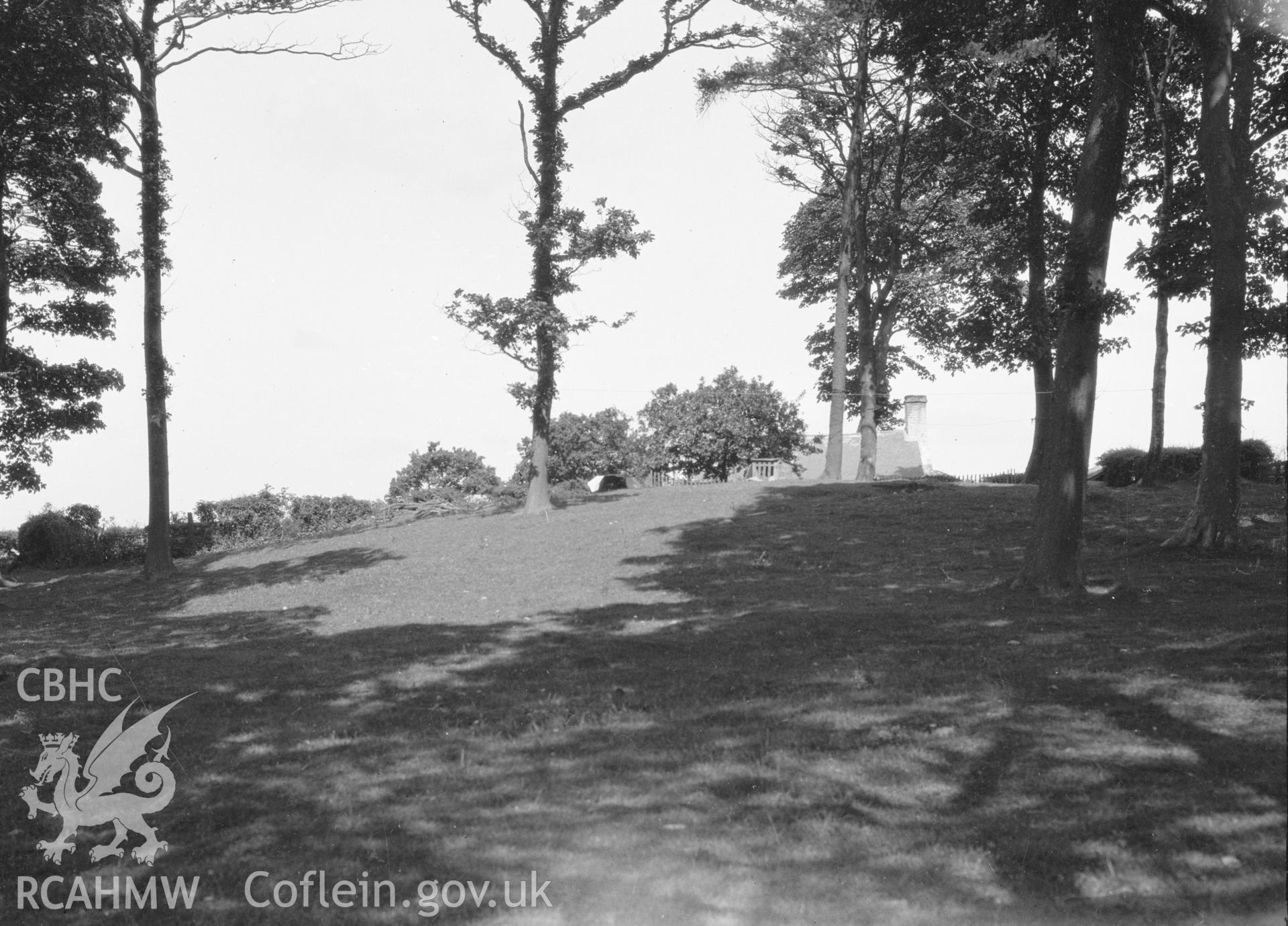 Digital copy of a nitrate negative showing Bryn Digrif Barrows. Transcript of the reverse of the printed photograph: 'Flint 268 73 Whitford/ Bryn Digrif (4) Tumulus.' From the Cadw Monuments in Care Collection.
