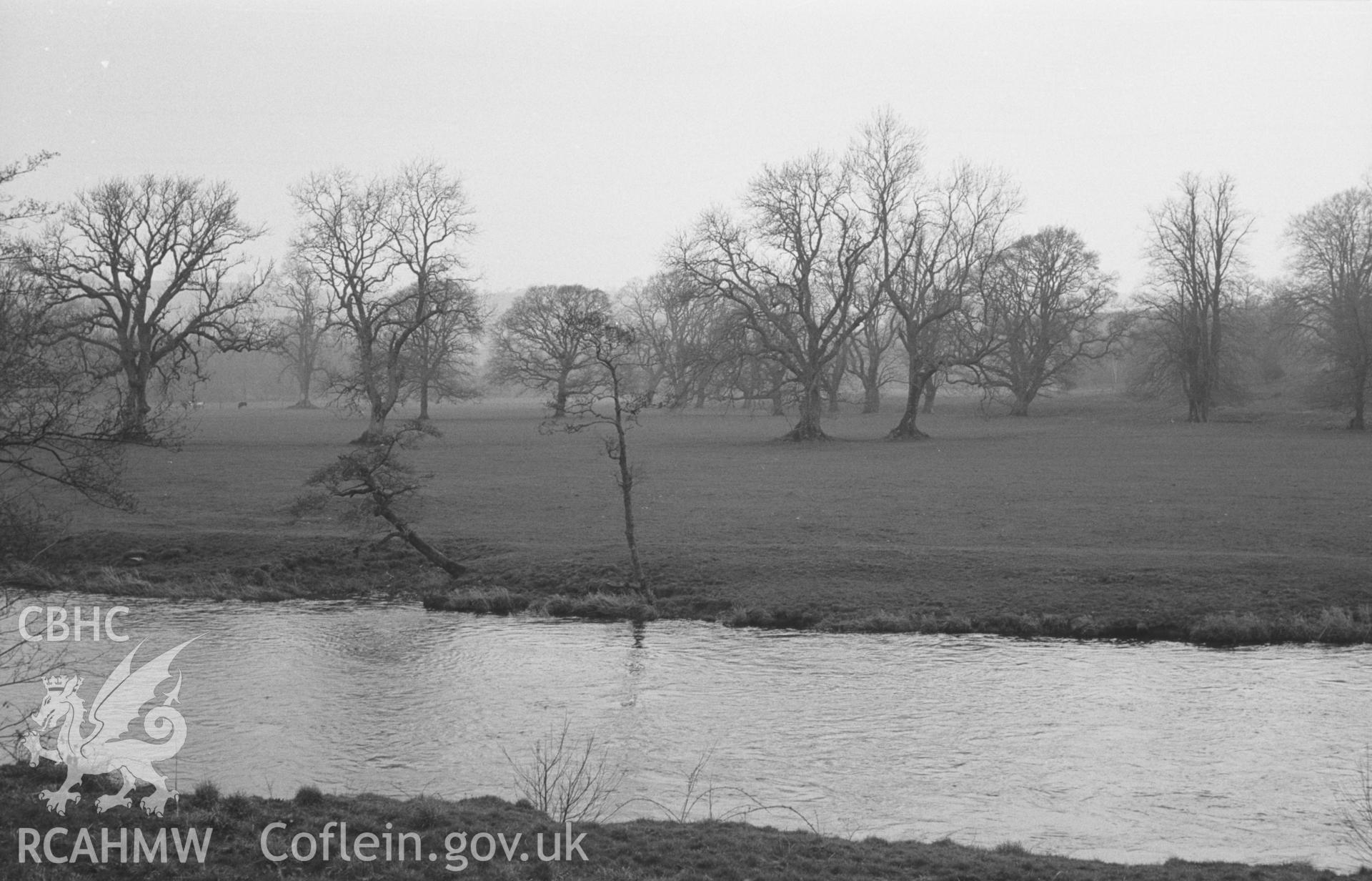 Digital copy of a black and white negative showing view looking across the river Teifi towards Highmead heronry, Llanybydder. Photographed by Arthur O. Chater in April 1966.