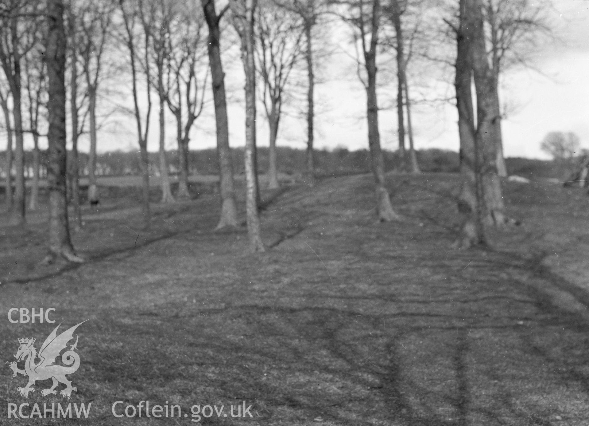 Digital copy of a nitrate negative showing Bryn Digrif Barrows. Transcript of the reverse of the printed photograph: '268. 13 Flint 267 Whitford (1)/ near Bryn Covert [?] Bryn Digrif (4) Tumulus.' From the Cadw Monuments in Care Collection.
