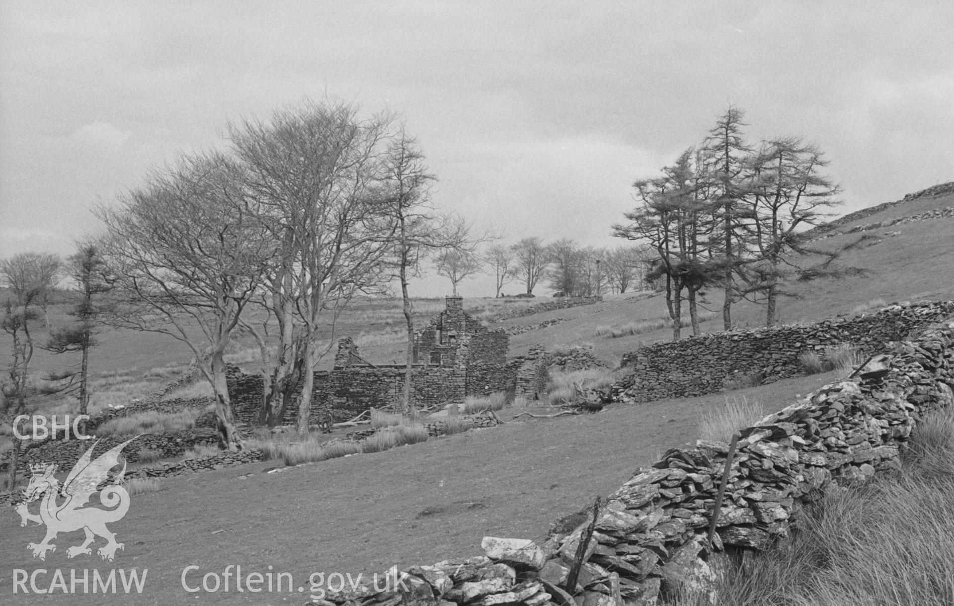Digital copy of a black and white negative showing ruins of Tan-y-Graig farmstead near Carn Gron, Gwar Ffynnon, Tregaron. Photographed by Arthur O. Chater in April 1966 from Grid Reference SN 729 605, looking north north east.