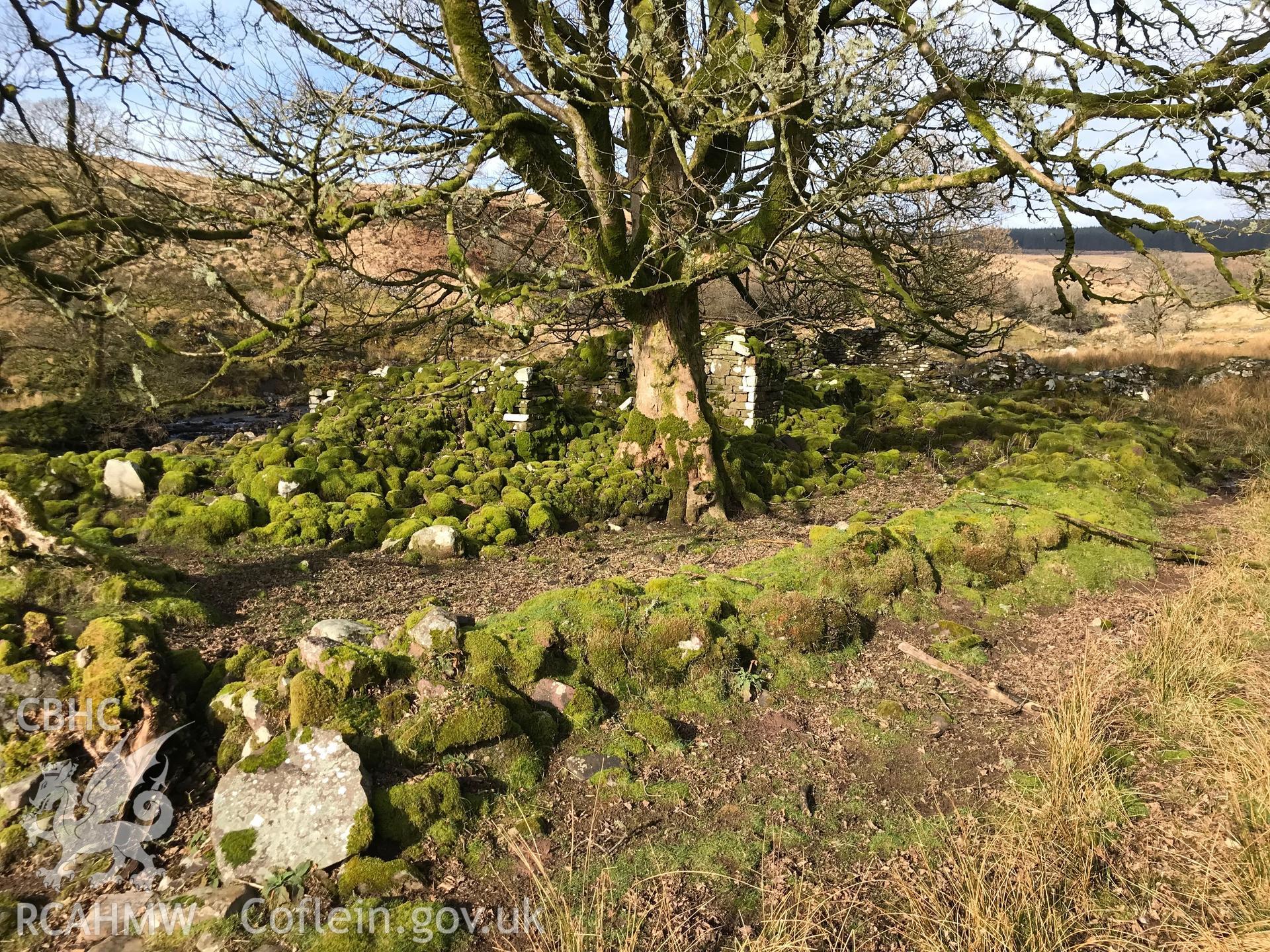 Colour photograph of Blaen-nedd Fechan abandoned farmstead, Ystradfellte, in the Brecon Beacons, taken by Paul R. Davis on 22nd February 2019.