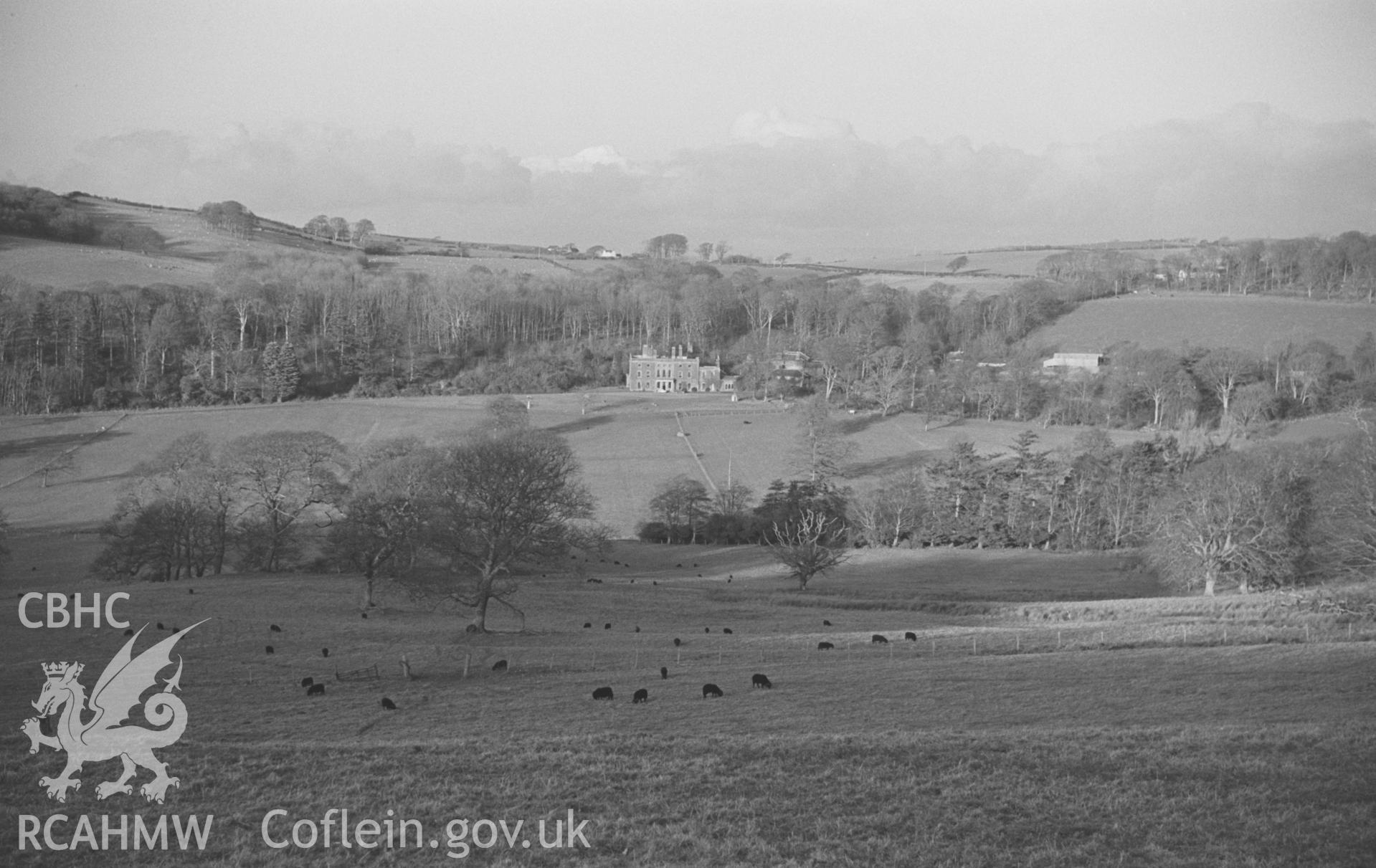 Digital copy of a black and white negative showing view of Nanteos mansion with black sheep. Photographed by Arthur O. Chater on 1st January 1967 looking north from the New Cross road 150m east of Pont Nant-y-Garlleg, Grid Reference SN 6200 7789.