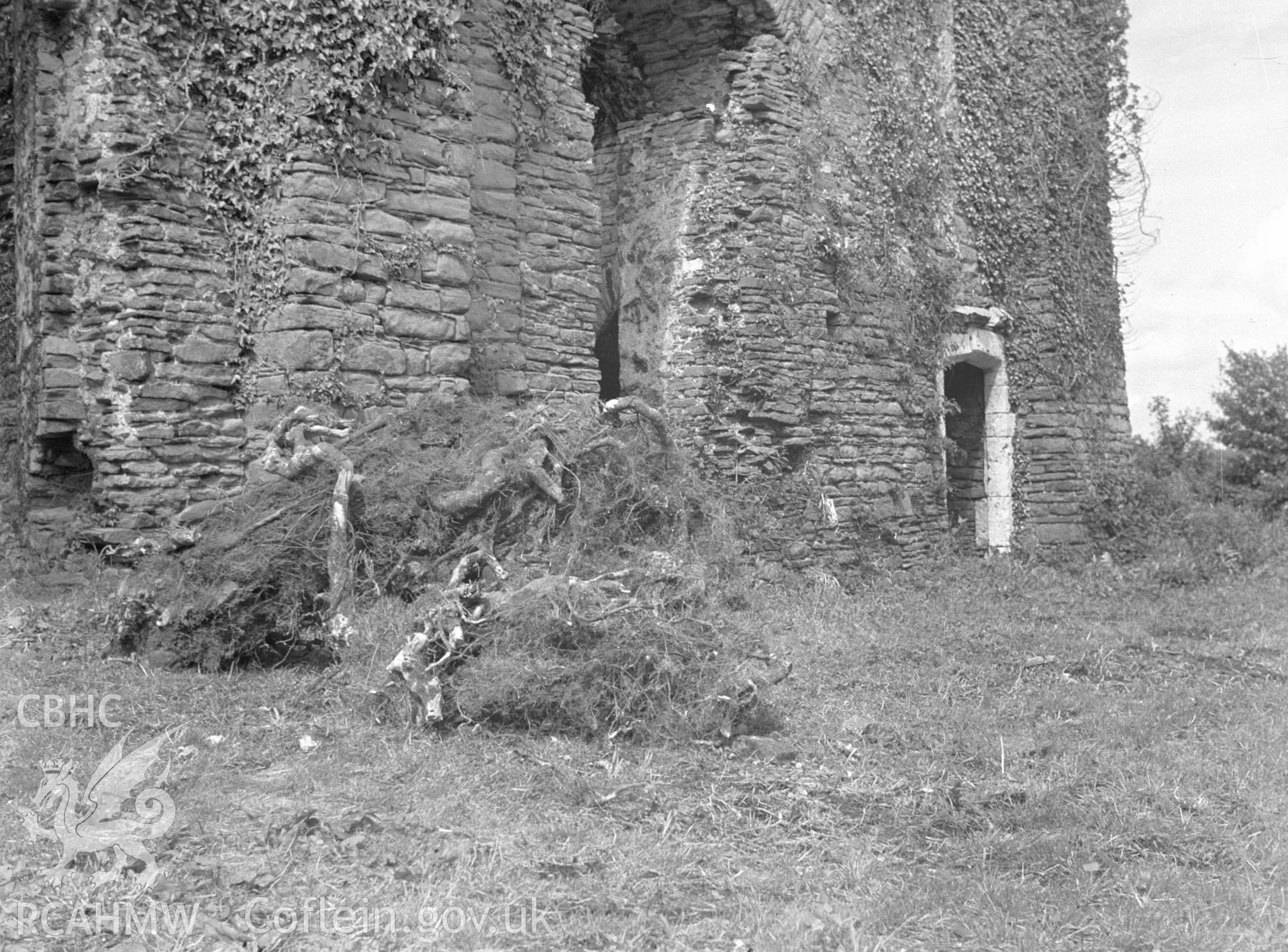 Digital copy of a nitrate negative showing root removal carried out at Neath Abbey.