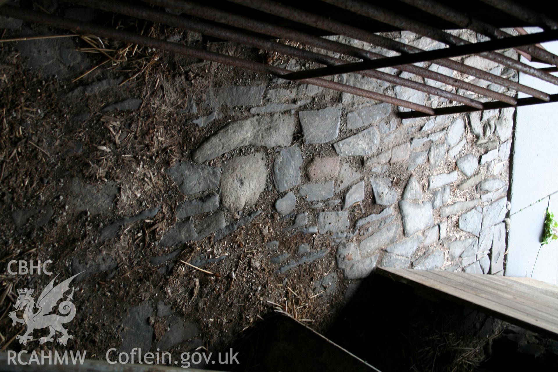 Interior view of cobblestone floor. Photographic survey of the northern range of cattle-shelters at Tan-y-Graig Farm, Llanfarian, conducted by Geoff Ward and John Wiles, 11th December 2006.