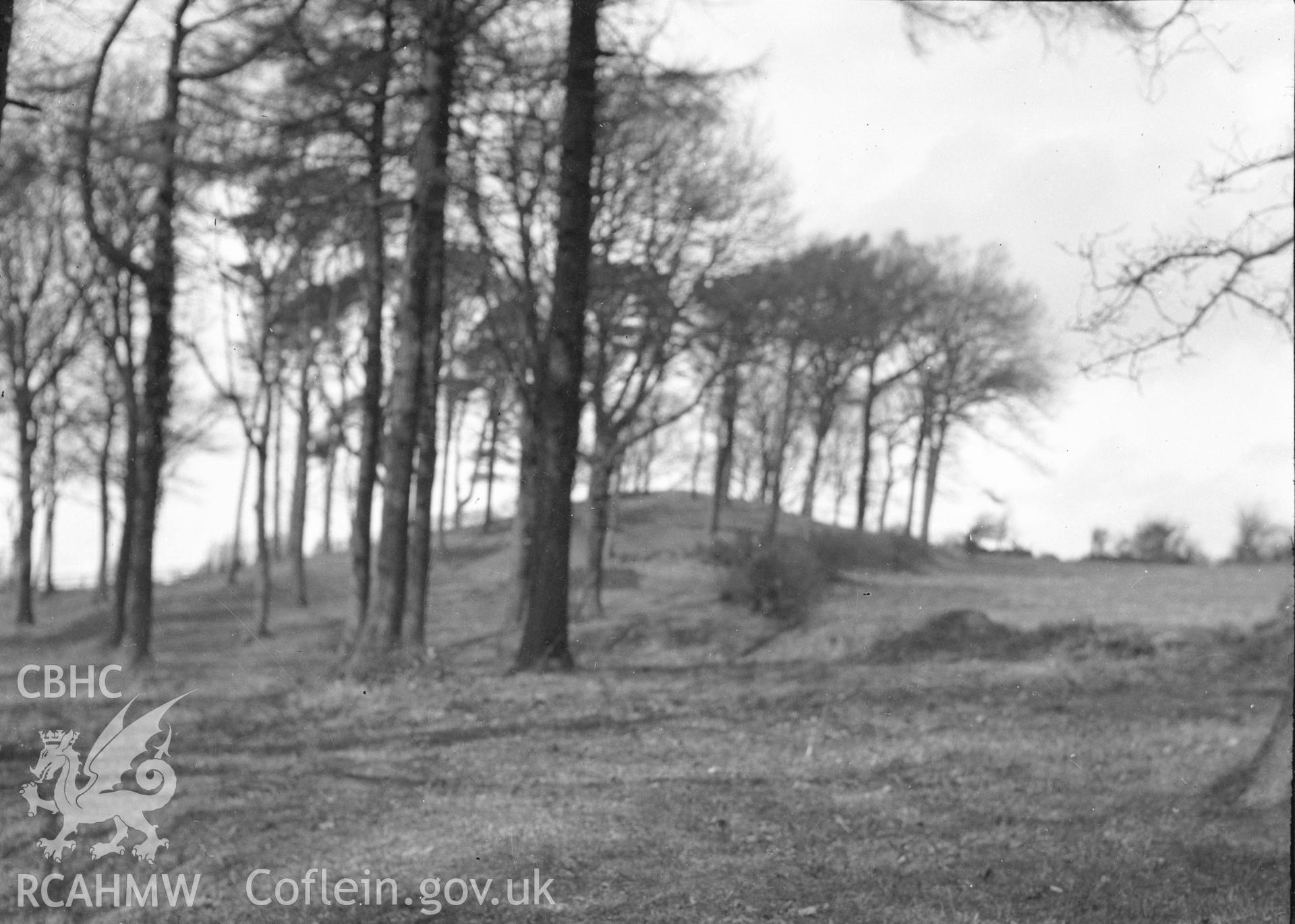 Digital copy of a nitrate negative showing Bryn Digrif Barrows. Transcript of the reverse of the printed photograph: 'Bryn Covert [?[ Flint 268 Whitford/ Bryn Digrif (2) Tumulus.' From the Cadw Monuments in Care Collection.