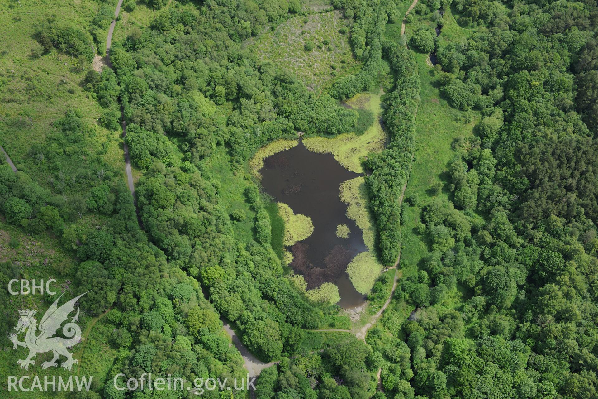 Penllergaer Park, Swansea. Oblique aerial photograph taken during the Royal Commission's programme of archaeological aerial reconnaissance by Toby Driver on 19th June 2015.