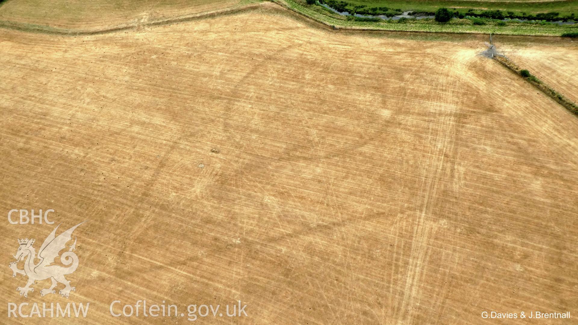Aerial photograph of the Bryn-Crug cropmark complex, taken by Glyn Davies & Jonathan Brentnall under drought conditions, 15/07/2018. This photograph has been modified to enhance the visibility of the archaeology. Original photograph: BDC_01_01_02.