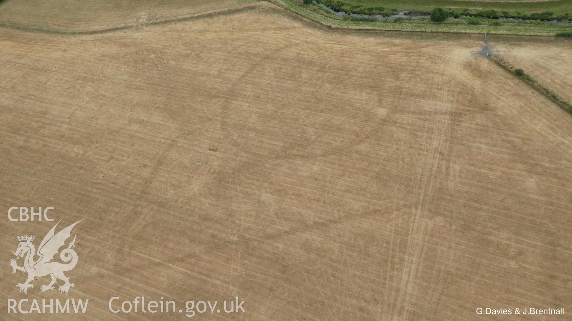 Aerial photograph of the Bryn-Crug cropmark complex, taken by Glyn Davies & Jonathan Brentnall under drought conditions, 15/07/2018. This photograph is the original, see BDC_01_01_01 for a modified version which enhances the visibility of the archaeology.