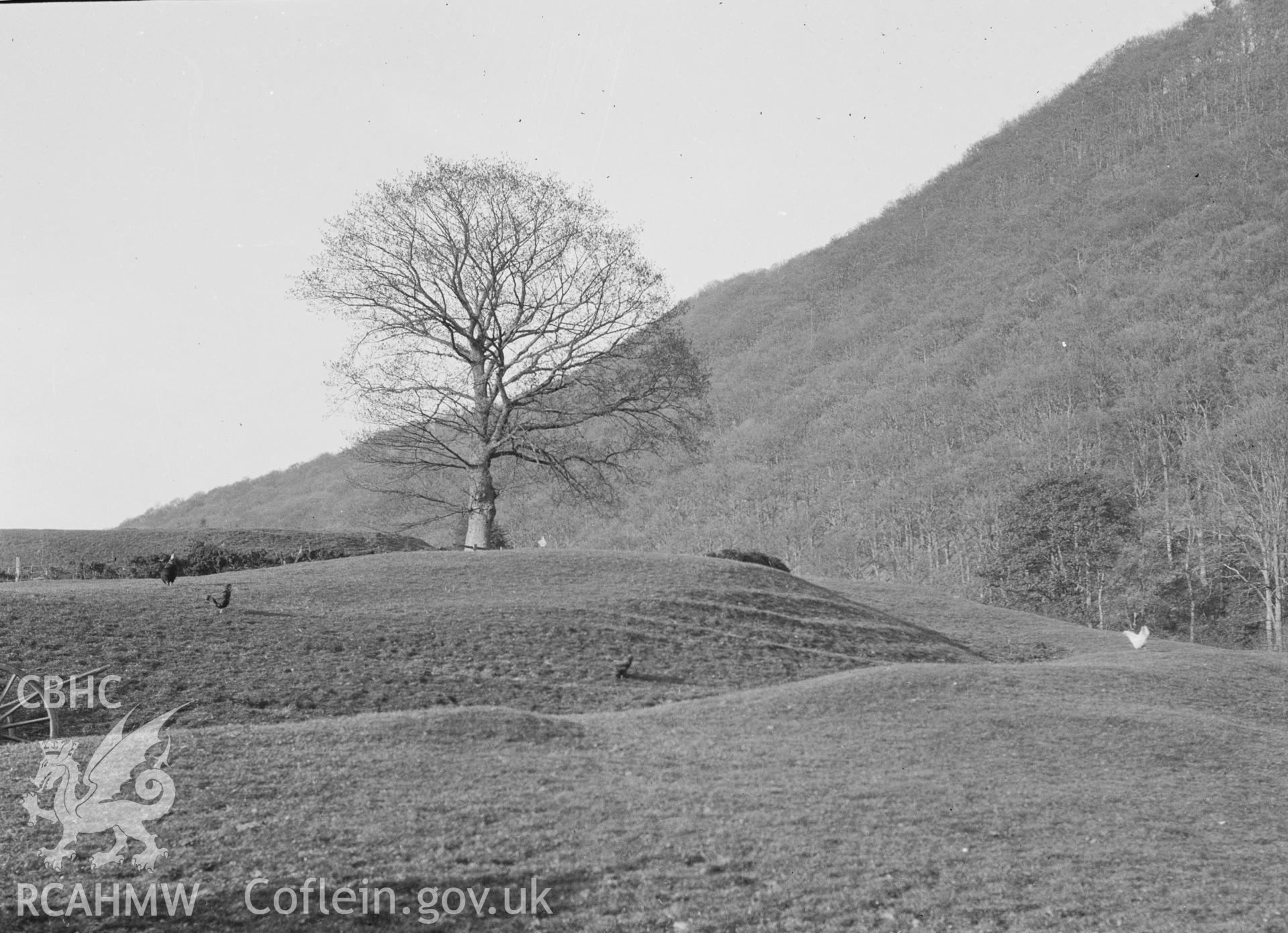 Digital copy of a nitrate negative showing view of Sycharth Castle Mound, taken by Leonard Monroe.