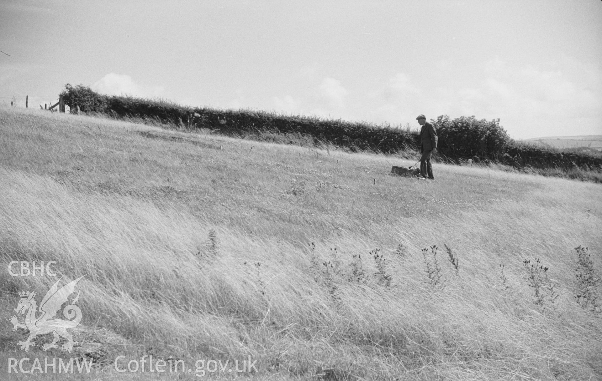 Black and White photograph showing University College Wales grass plots, Penglais. Photographed by Arthur Chater, August 1962. Grid reference: SN 597 818.