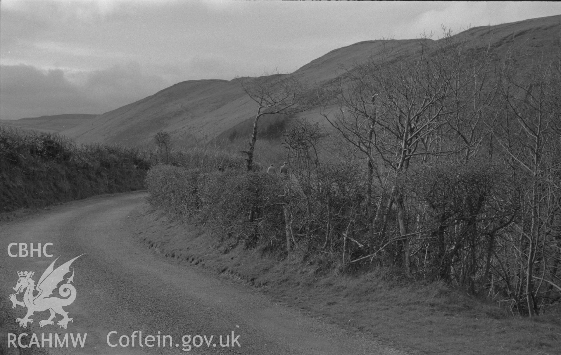 Black and White photograph showing lane near Wenffrwd.