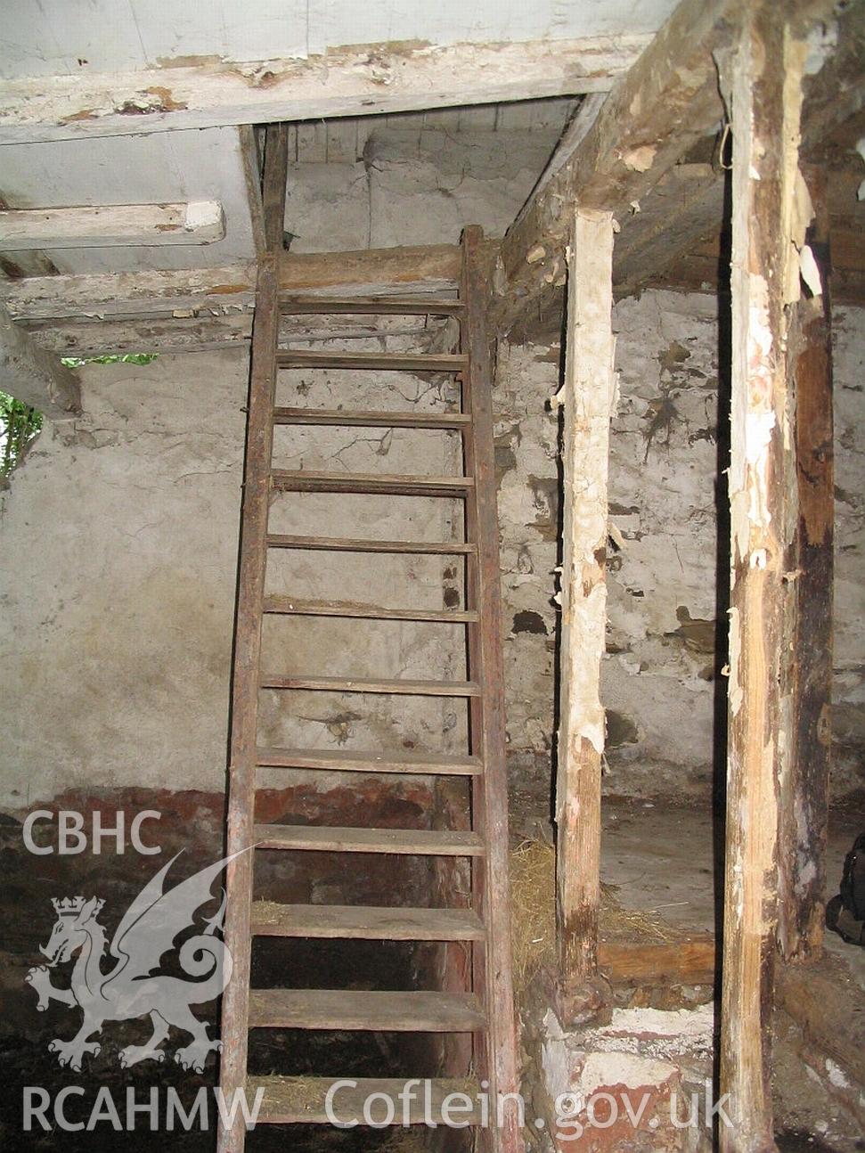 Dwelling end of Allt Ddu farmhouse, ladder stair.