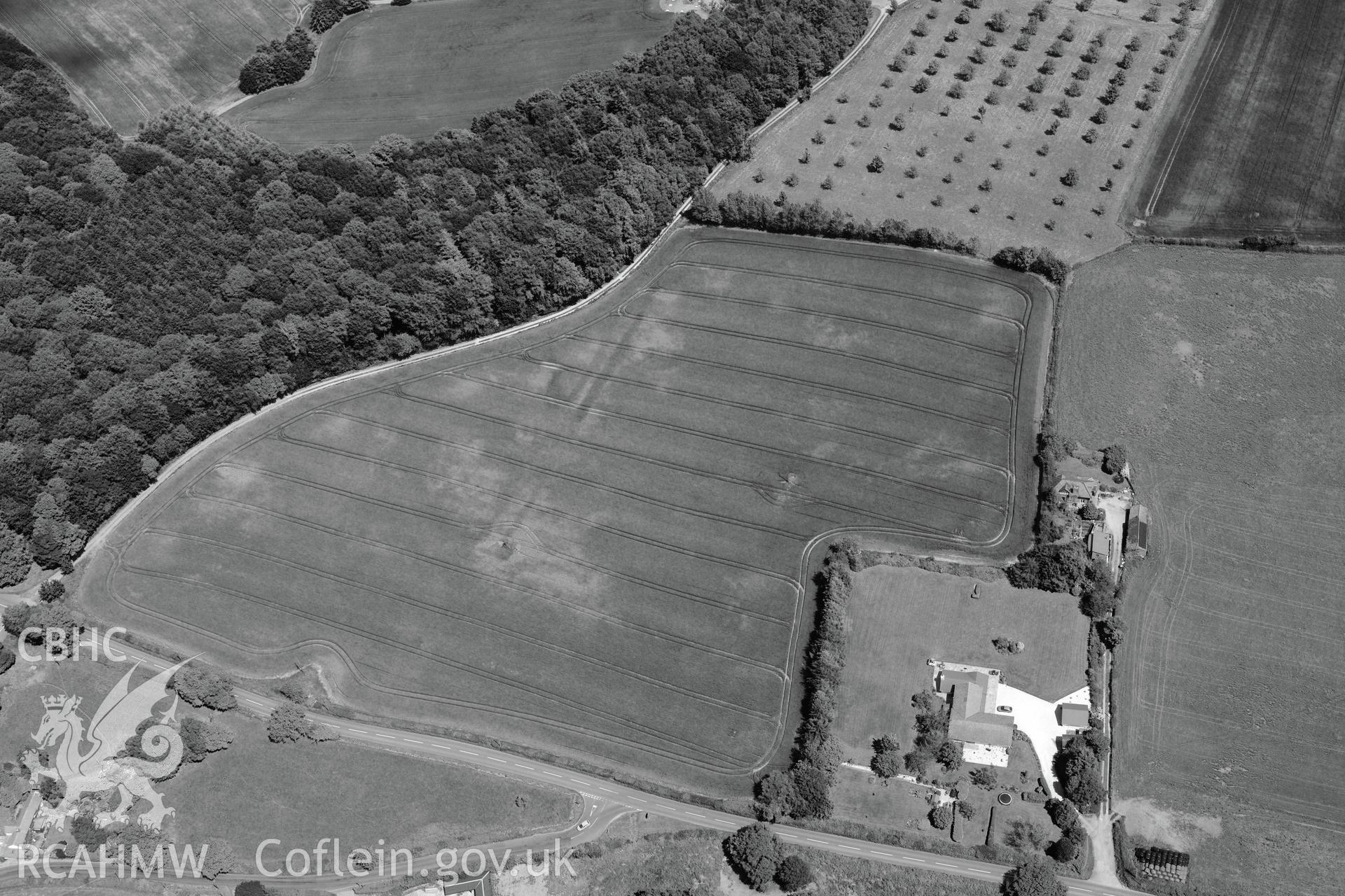 Cropmarks at Crumbland Farm near Usk. Oblique aerial photograph taken during the Royal Commission's programme of archaeological aerial reconnaissance by Toby Driver on 29th June 2015.