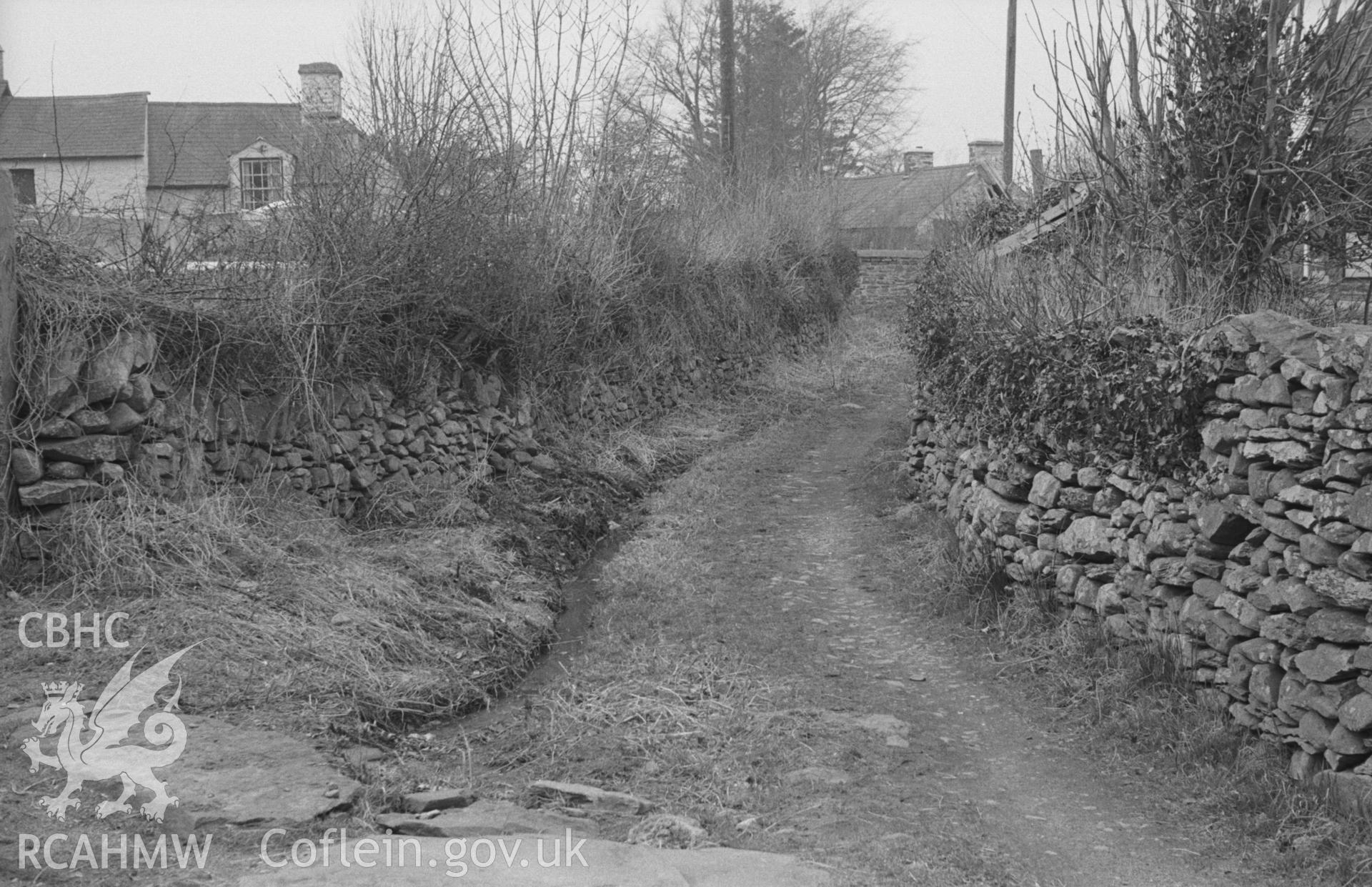 Digital copy of a black and white negative showing site of mill stream at Llanddewi Brefi. Photographed in April 1963 by Arthur O. Chater.
