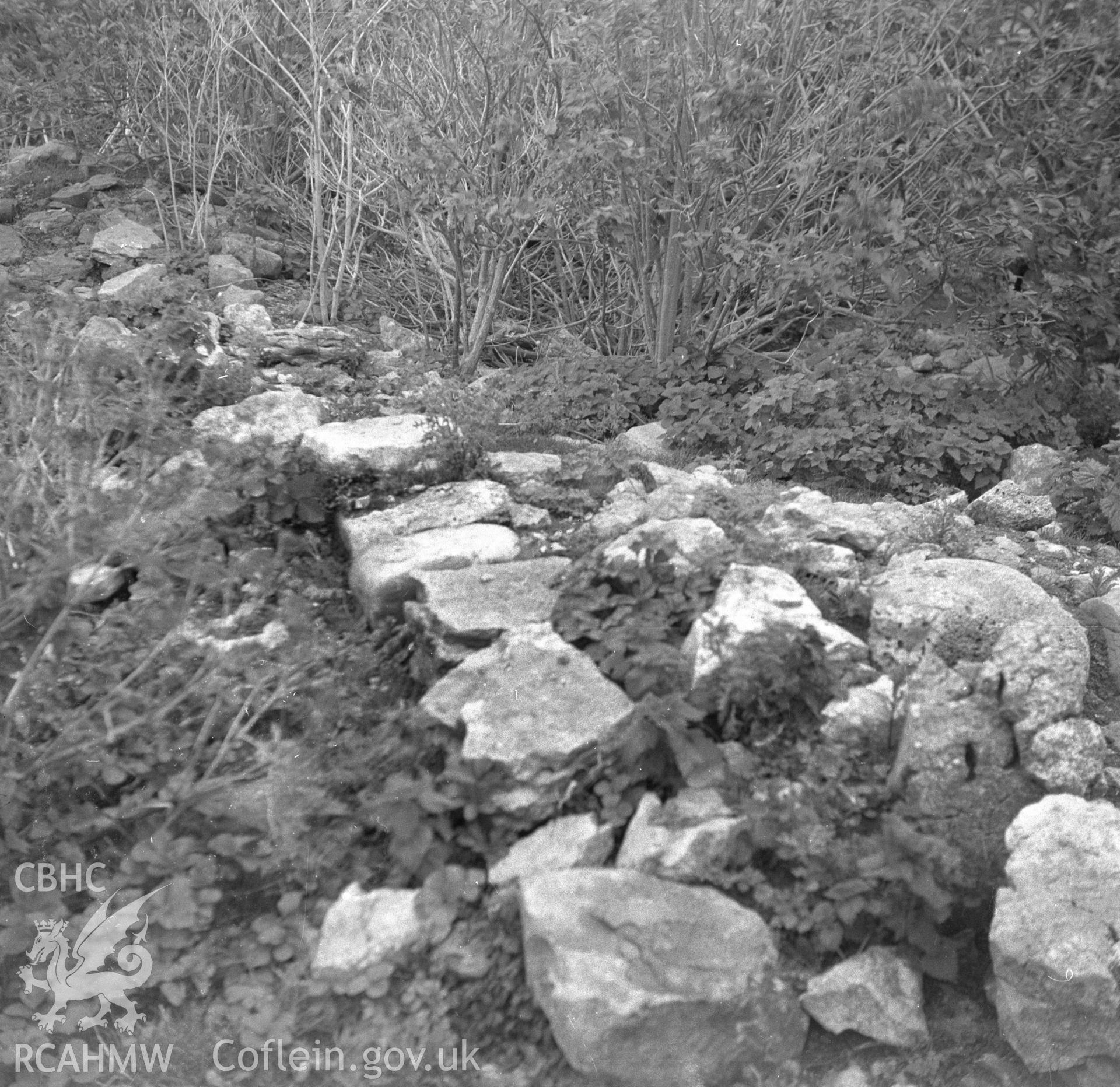 Digital copy of a black and white negative showing a view of ruined stone wall on Puffin Island.
