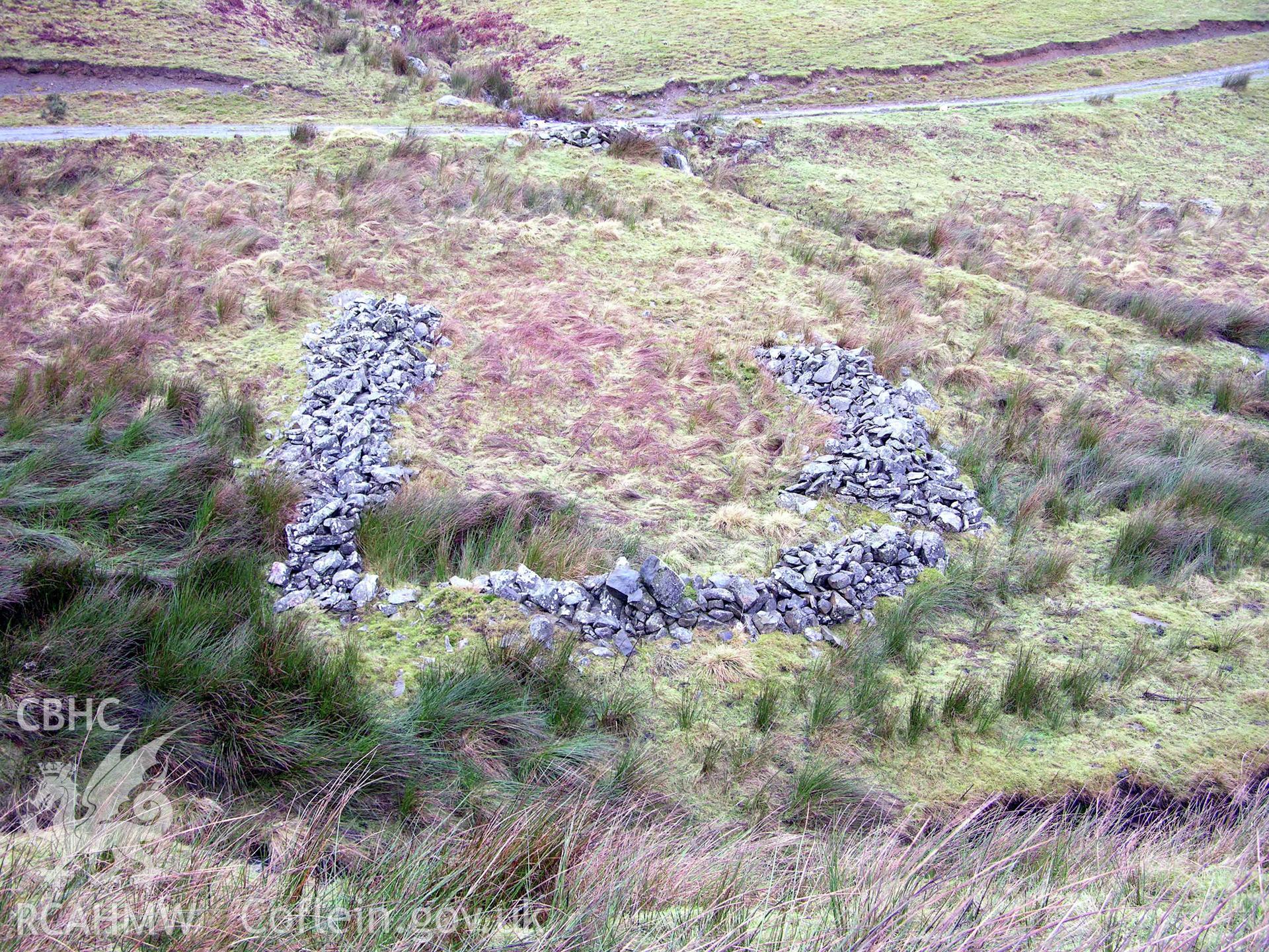 Colour digital photograph showing view of previously unrecorded sheepfold at base of Mynydd Dwyriw. Shown on 1st Edition OS - part of archaeological desk based assessment for Esgair Cwmowen, Carno (CAP Report 549).