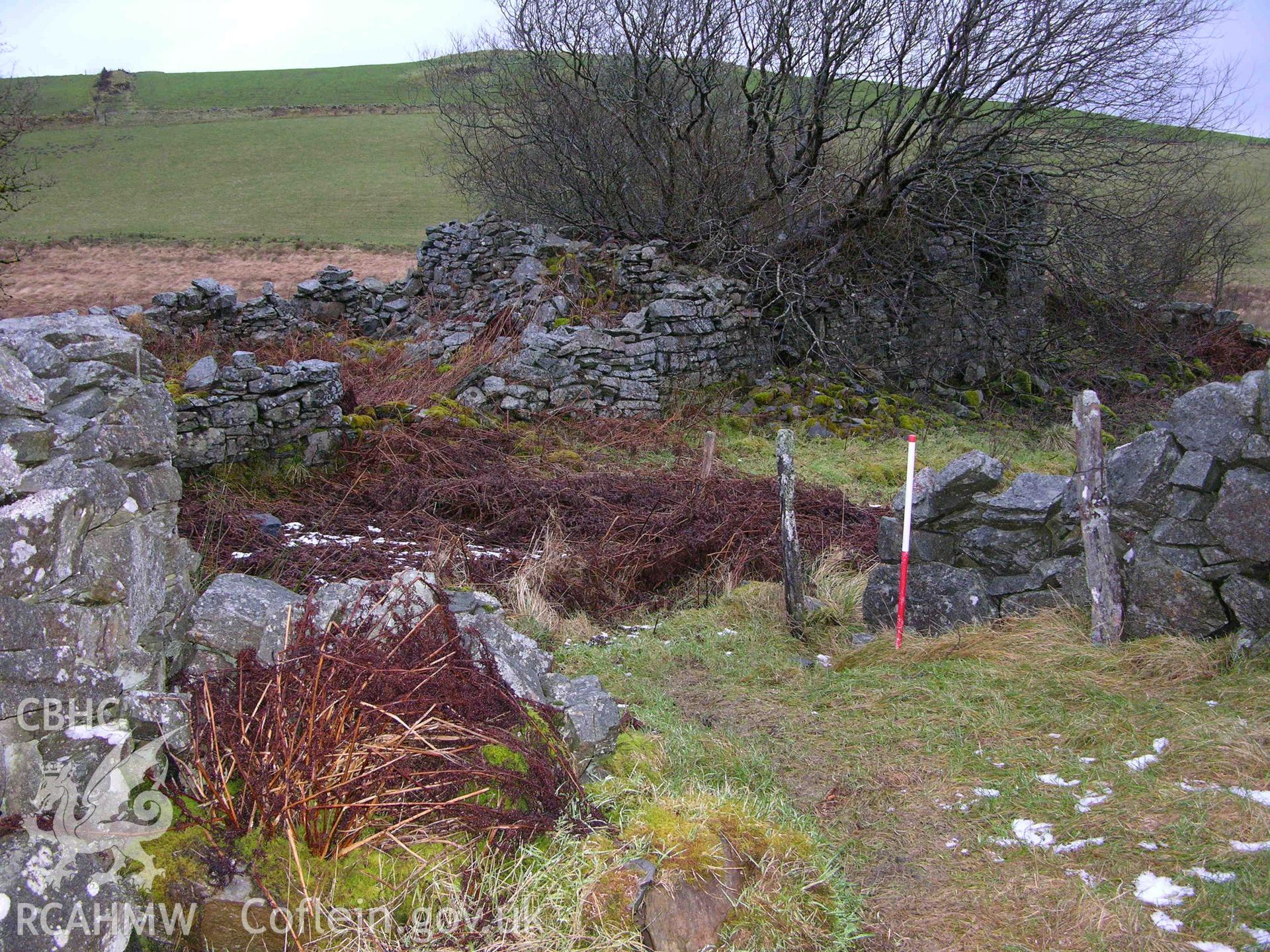 Colour digital photograph showing view of Carneddau Farmstead - part of archaeological desk based assessment for Esgair Cwmowen, Carno (CAP Report 549).
