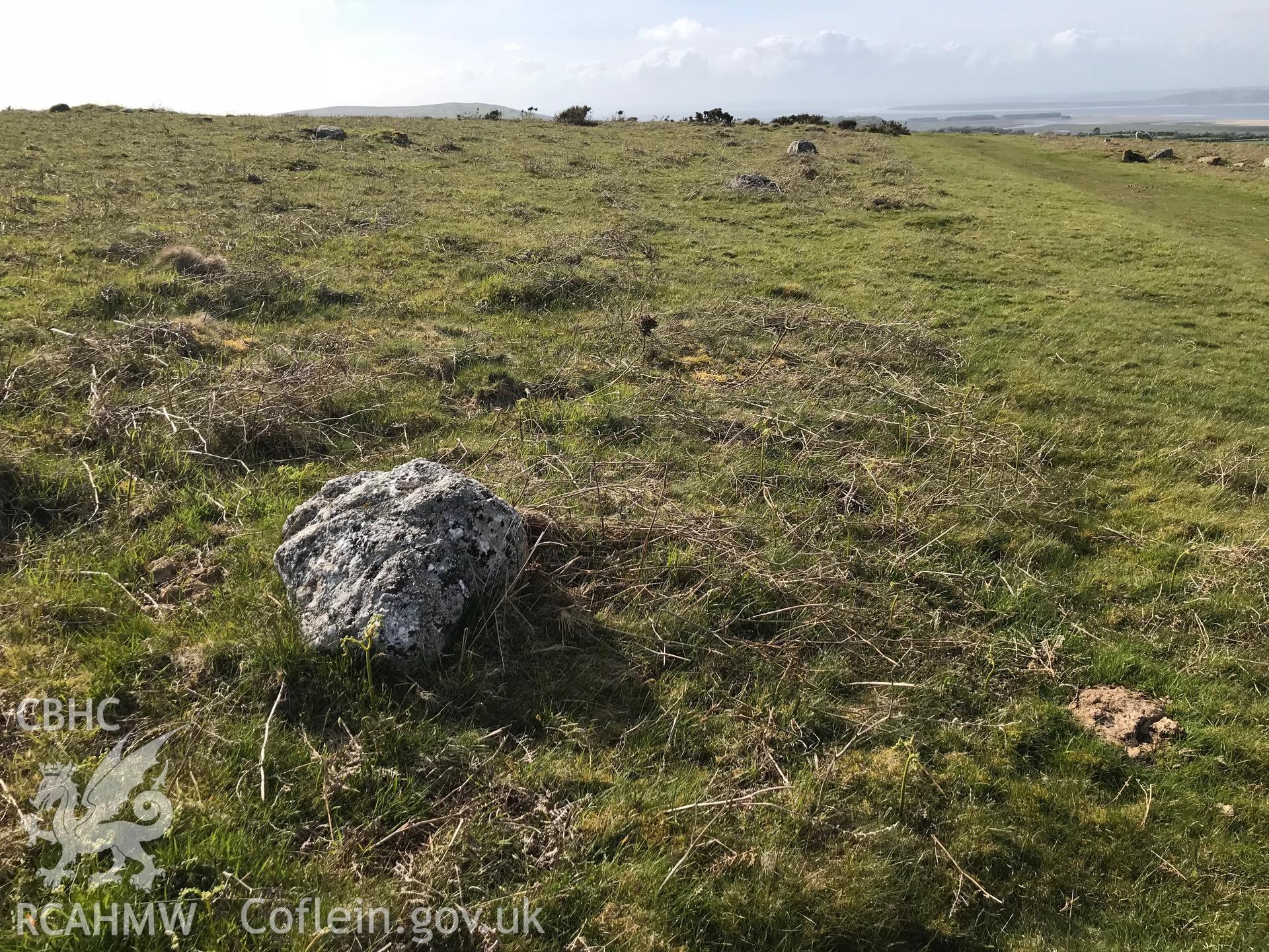 Colour photo showing a possible stone alignment at Cefn Bryn, taken by Paul R. Davis, 10th May 2018.