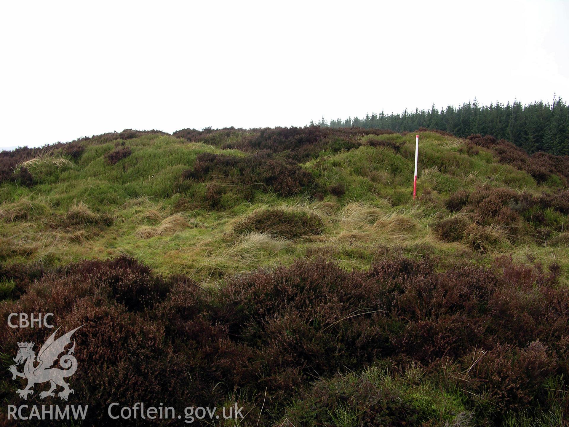 Colour digital photograph showing view of Blaen y Cwm Ring Cairn Mg 279 - part of archaeological desk based assessment for Esgair Cwmowen, Carno (CAP Report 549).