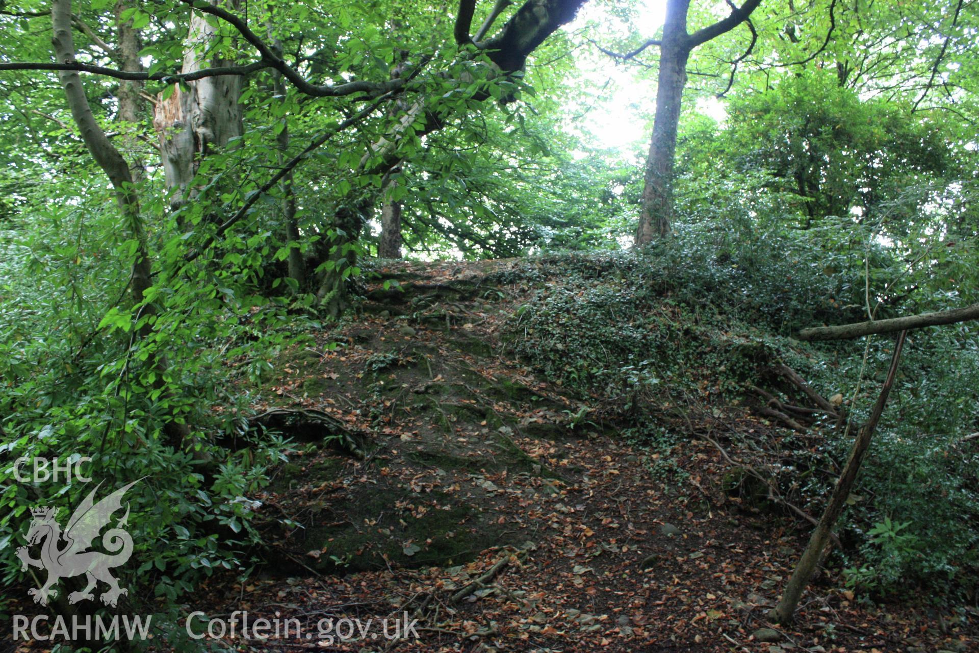 Colour digital image showing eroded bank of the Motte. At Morganstown Motte, Radyr. From a Cambrian Archaeological Projects assessment survey by Dr Amelia Pannett (CAP Report 592).
