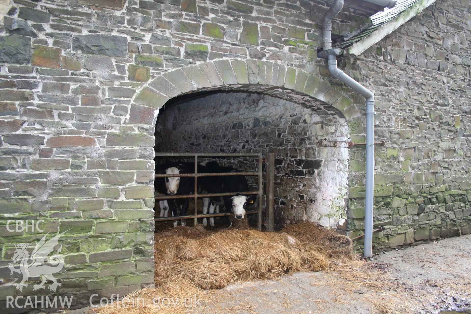 Exterior view of cattle shelter showing stone wall and archway. Photographic survey of the exterior of the farm buildings at Tan-y-Graig Farm, Llanfarian, Aberystwyth. Conducted by Geoff Ward and John Wiles, 11th December 2006.