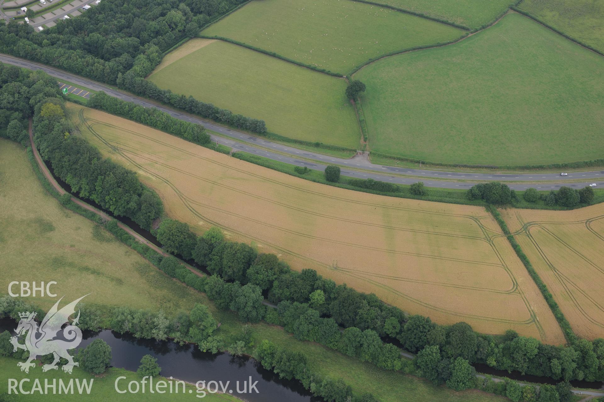 Cefn-brynich Roman fort, cropmarks of marching camp to west of fort, taken by RCAHMW 1st August 2013.