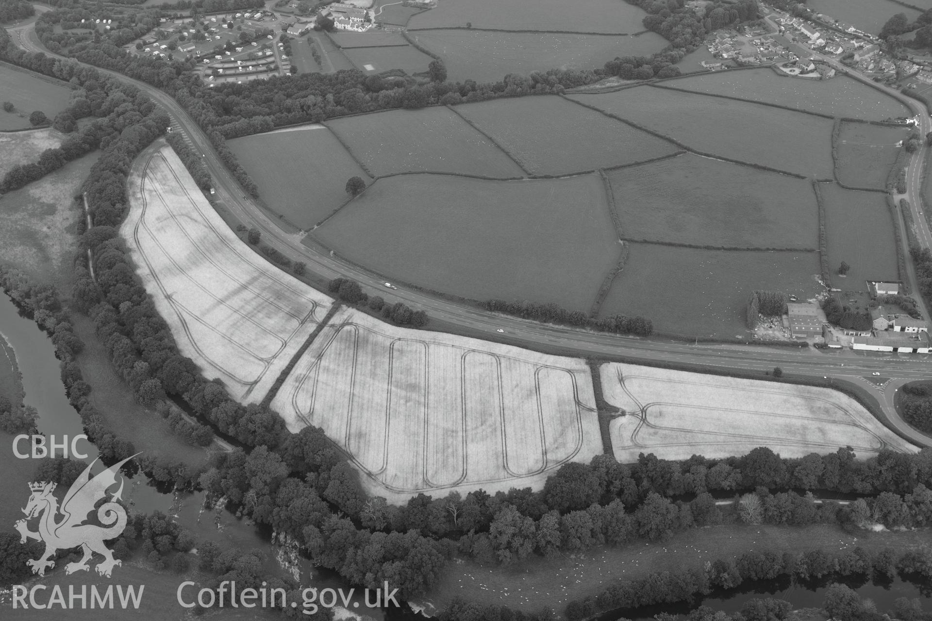 Cefn-brynich Roman fort, general view (black and white) of cropmarks from south, taken by RCAHMW 1st August 2013.