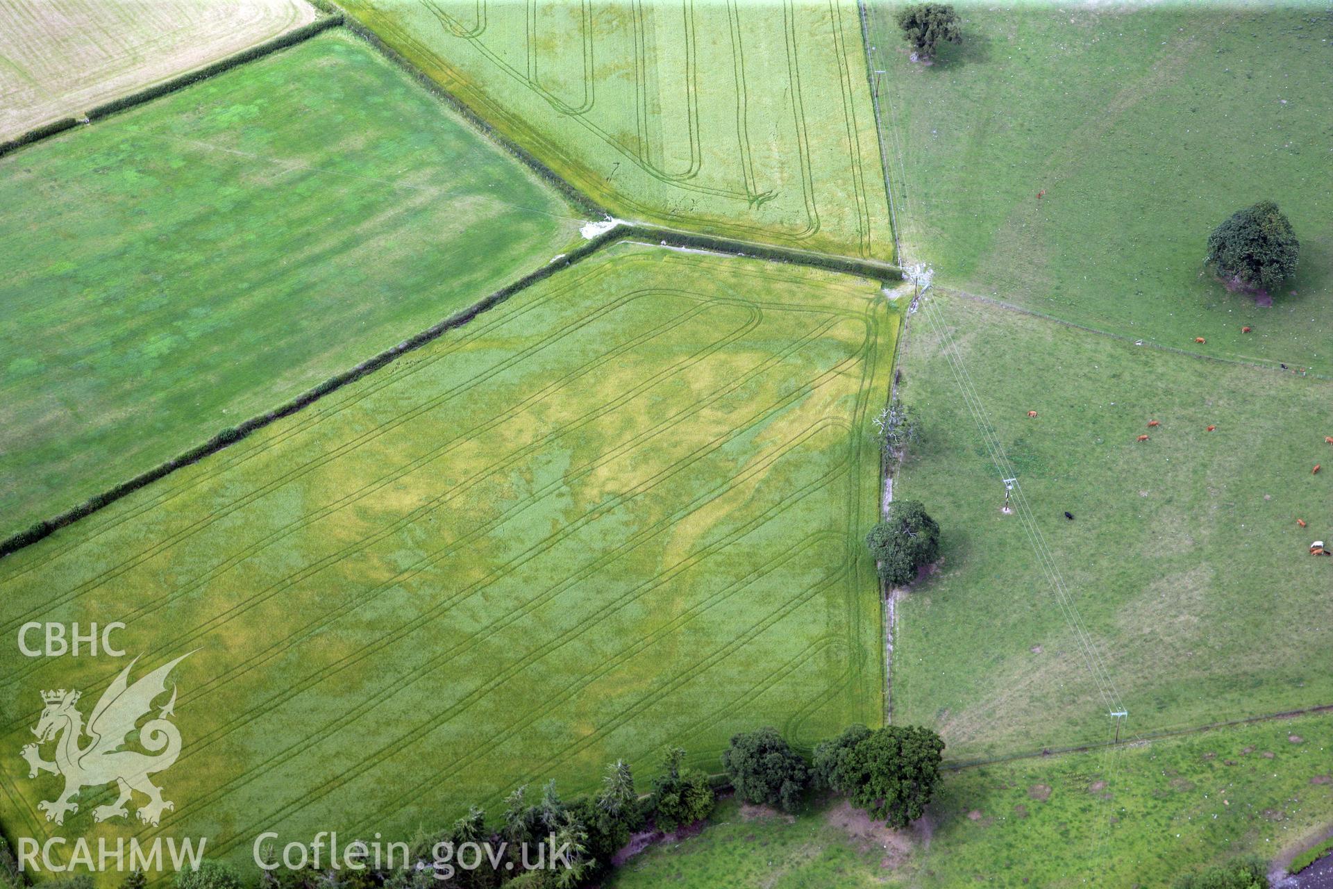 RCAHMW colour oblique photograph of Pennant farm cropmark. Taken by Toby Driver and Oliver Davies on 05/07/2011.