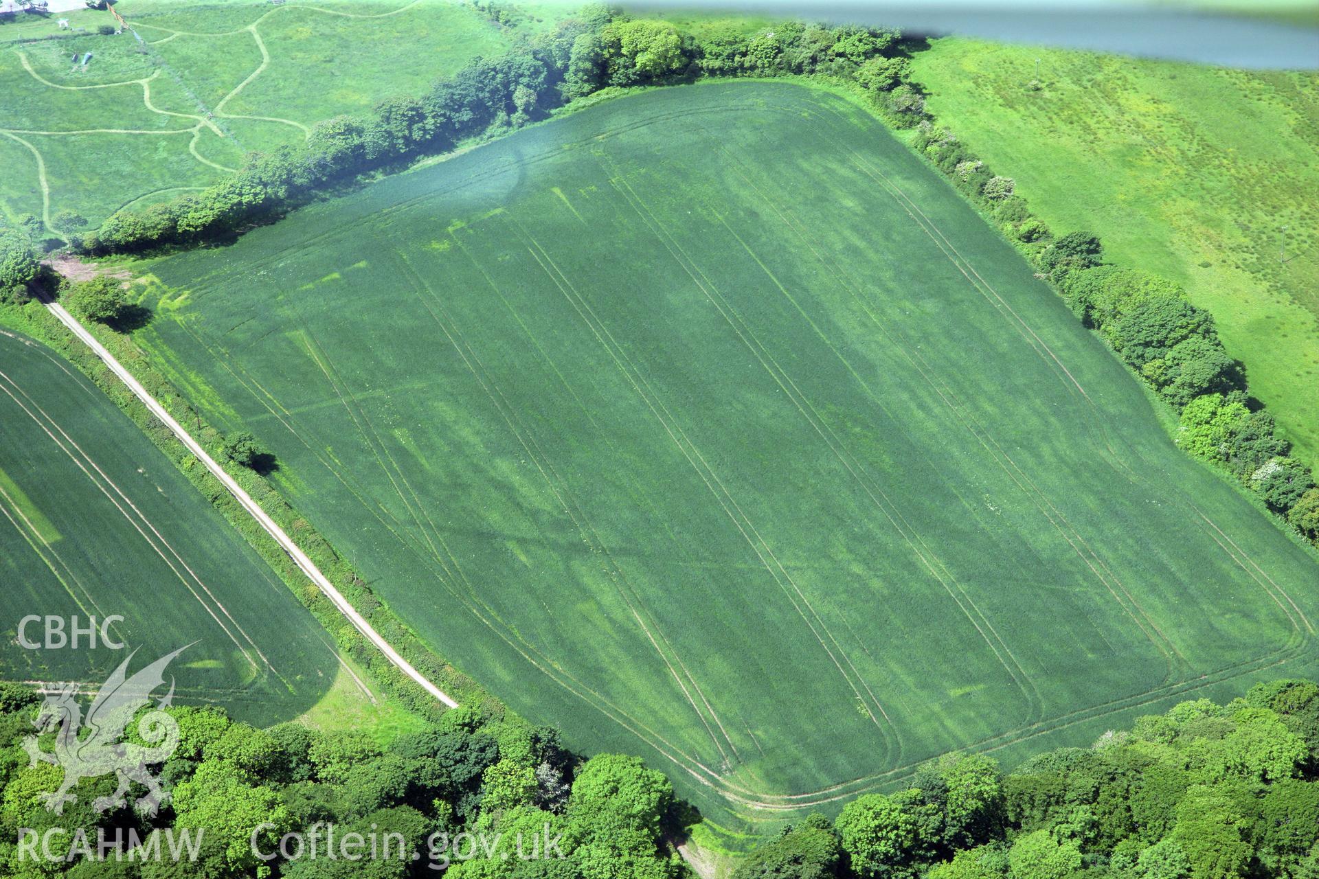 RCAHMW colour oblique photograph of Cropmarks east of Butterhill Farm. Taken by Toby Driver on 24/05/2011.