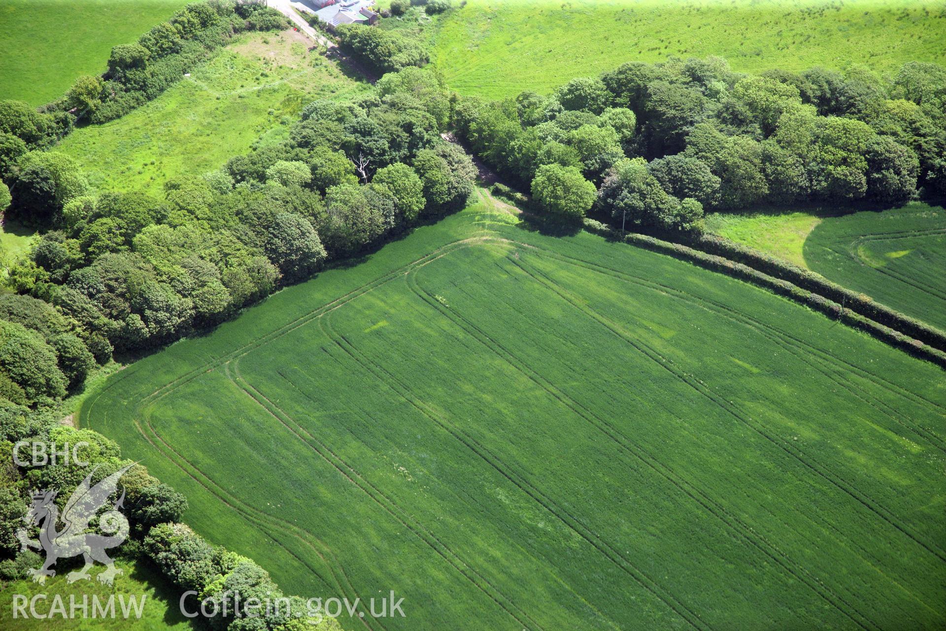 RCAHMW colour oblique photograph of Cropmarks east of Butterhill Farm. Taken by Toby Driver on 24/05/2011.