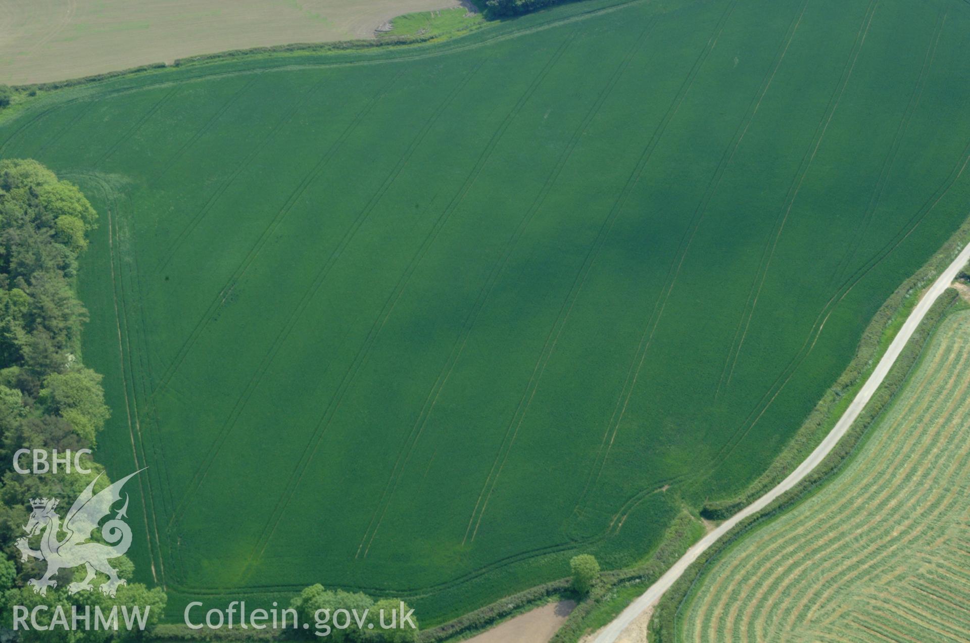 RCAHMW colour oblique aerial photograph of possible cropmarked enclosure at Landigwinnet, north-east of Carew taken on 24/05/2004 by Toby Driver