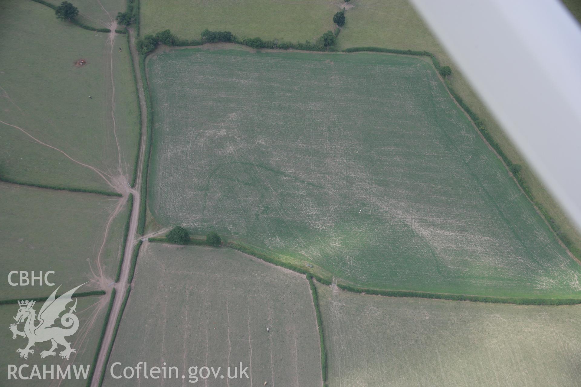 RCAHMW colour oblique aerial photograph of Ddolibod, showing non-archaeological cropmarks caused by spraying or harvesting patterns. Taken on 14 August 2006 by Toby Driver.