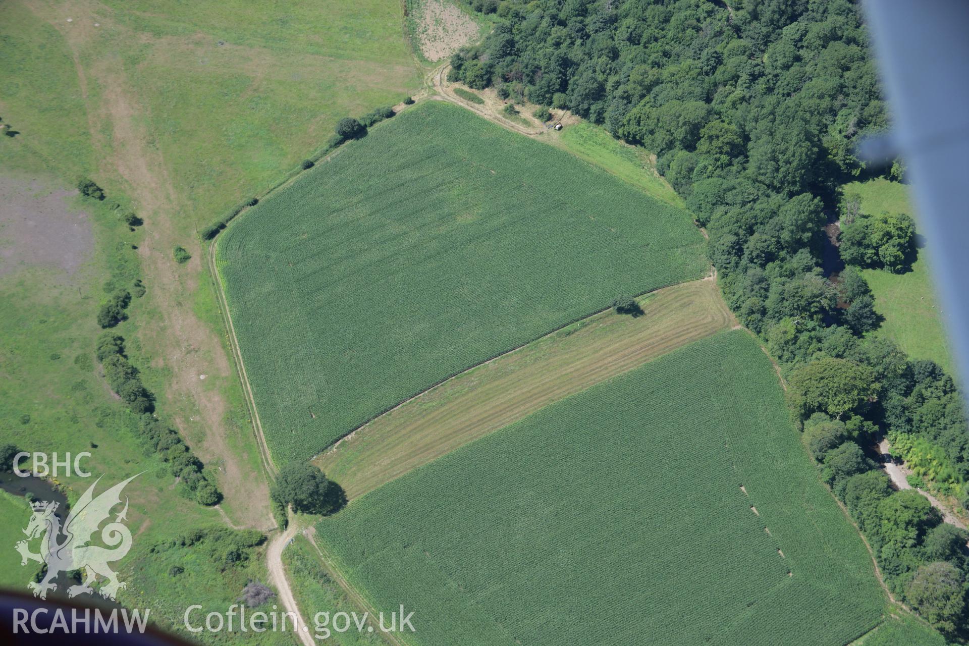 RCAHMW colour oblique aerial photograph of Vervil Dyke and possible enclosure. Taken on 24 July 2006 by Toby Driver.