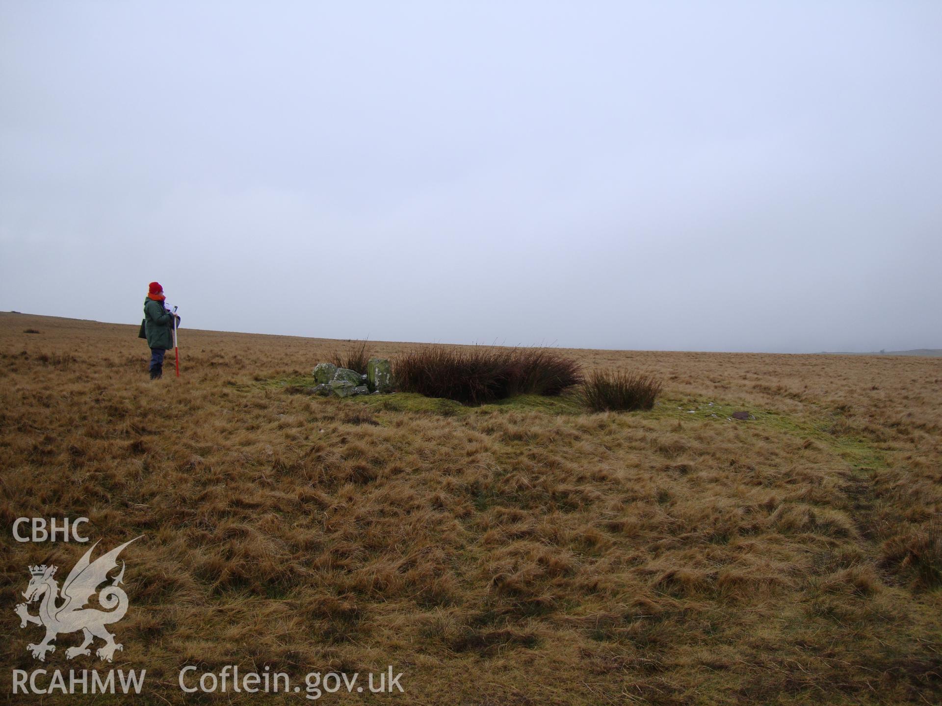 Digital colour photograph of Cefn Clawdd cairn I taken on 15/01/2009 by R.P.Sambrook during the Banc y Celyn Upland Survey undertaken by Trysor.