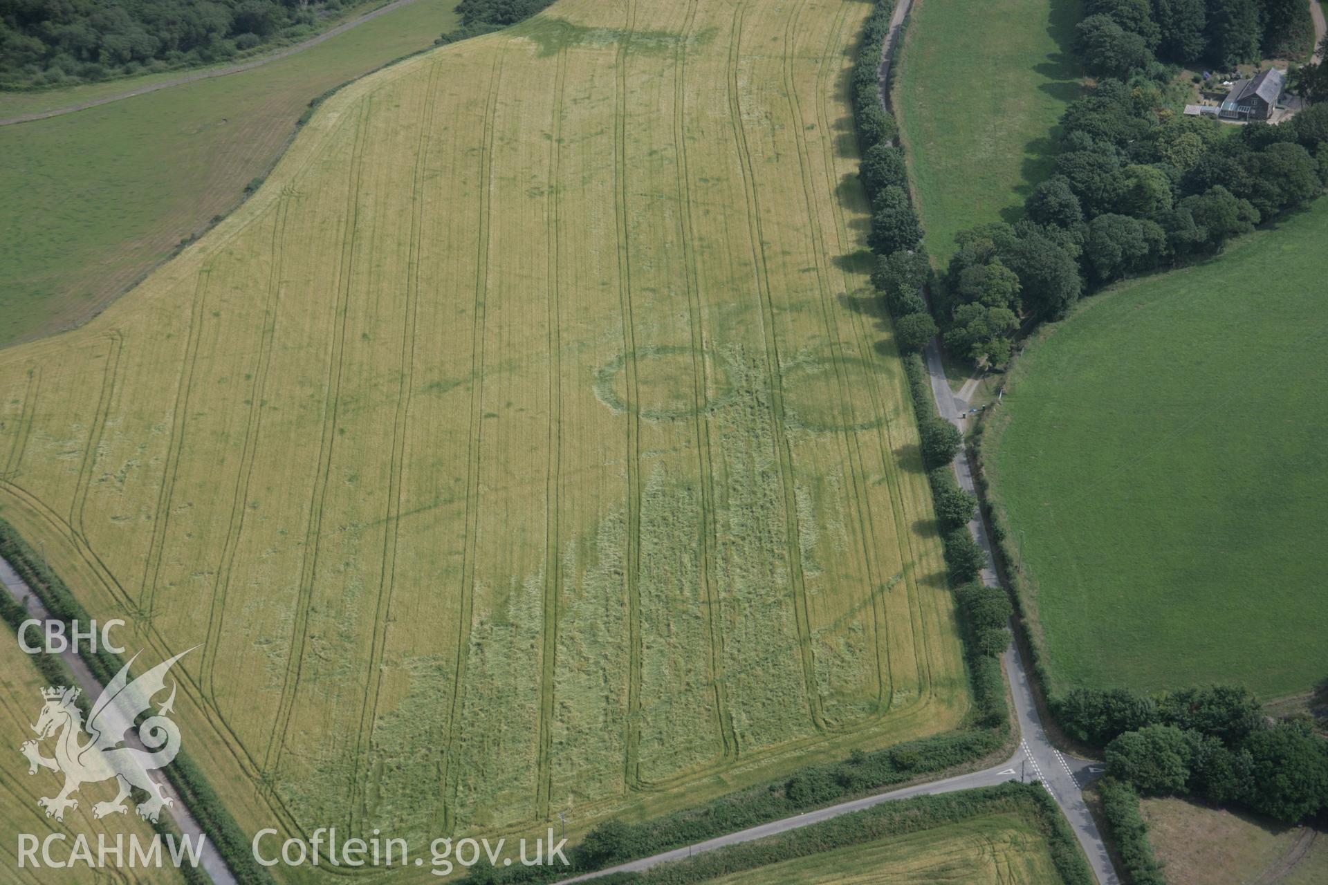 RCAHMW digital colour oblique photograph of the cropmarks of a triple ring ditch at Bryn Bodfel viewed from the south-west. Taken on 27/07/2005 by T.G. Driver.